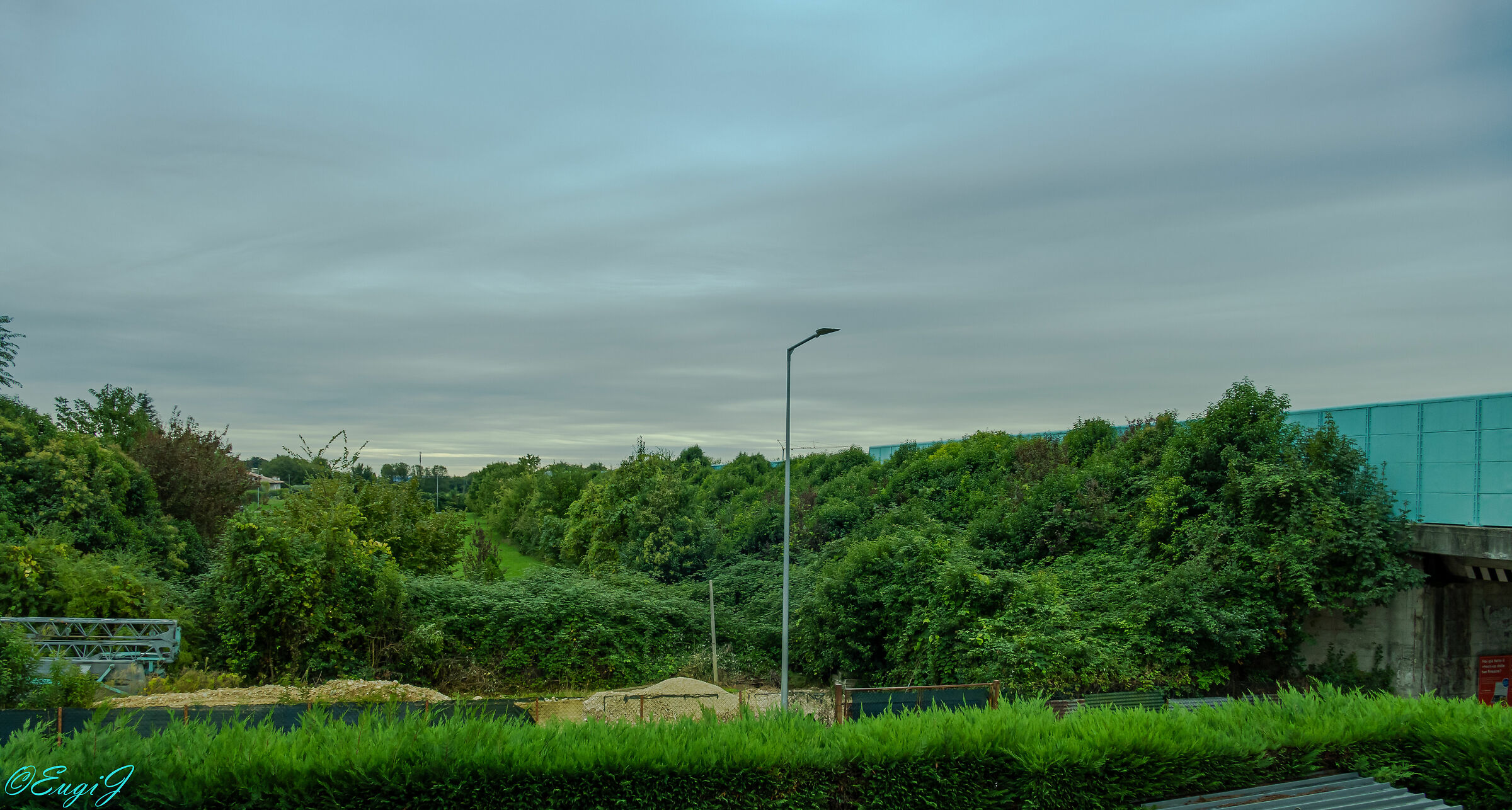 how green in front of me!