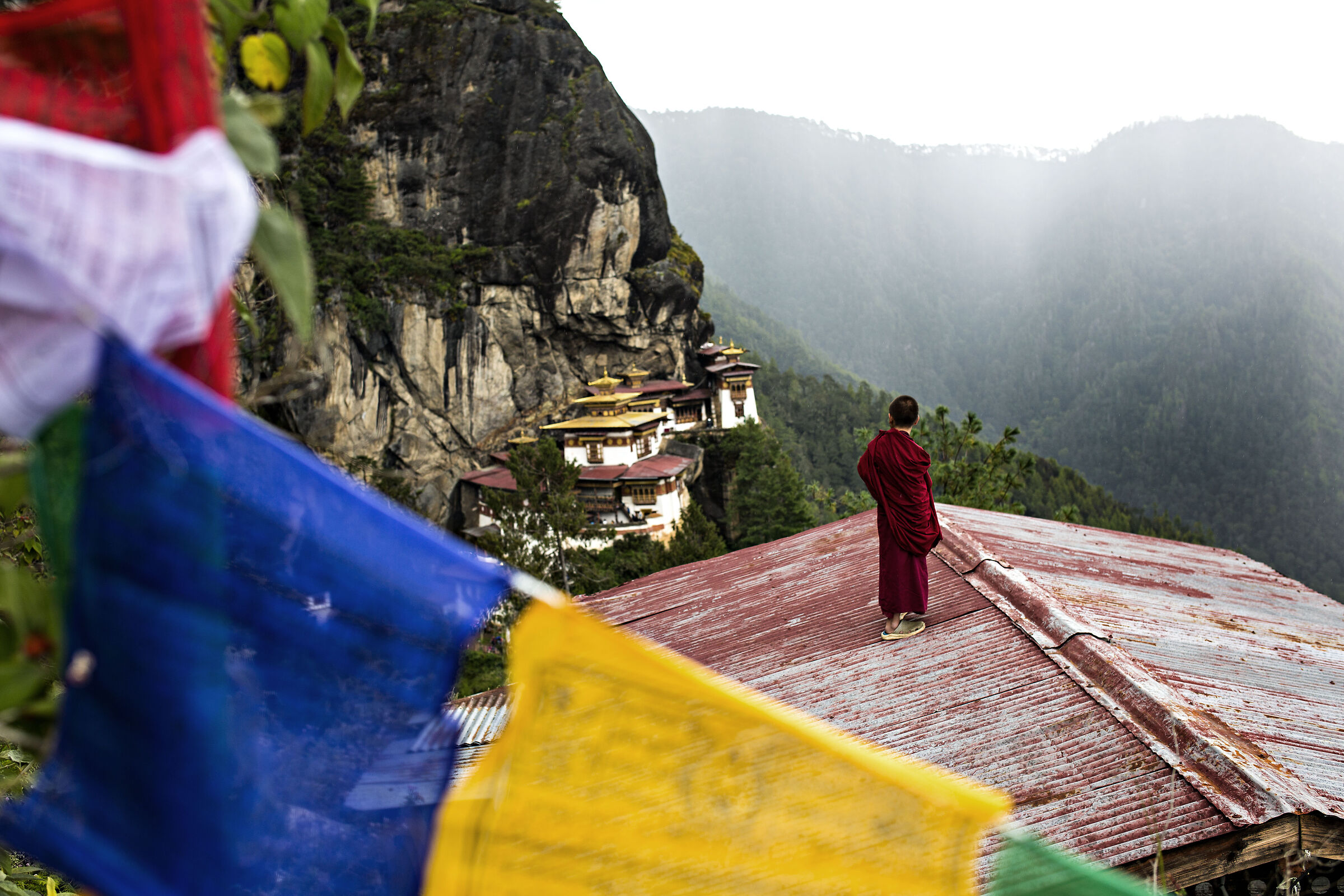 Looking on the Tiger Nest