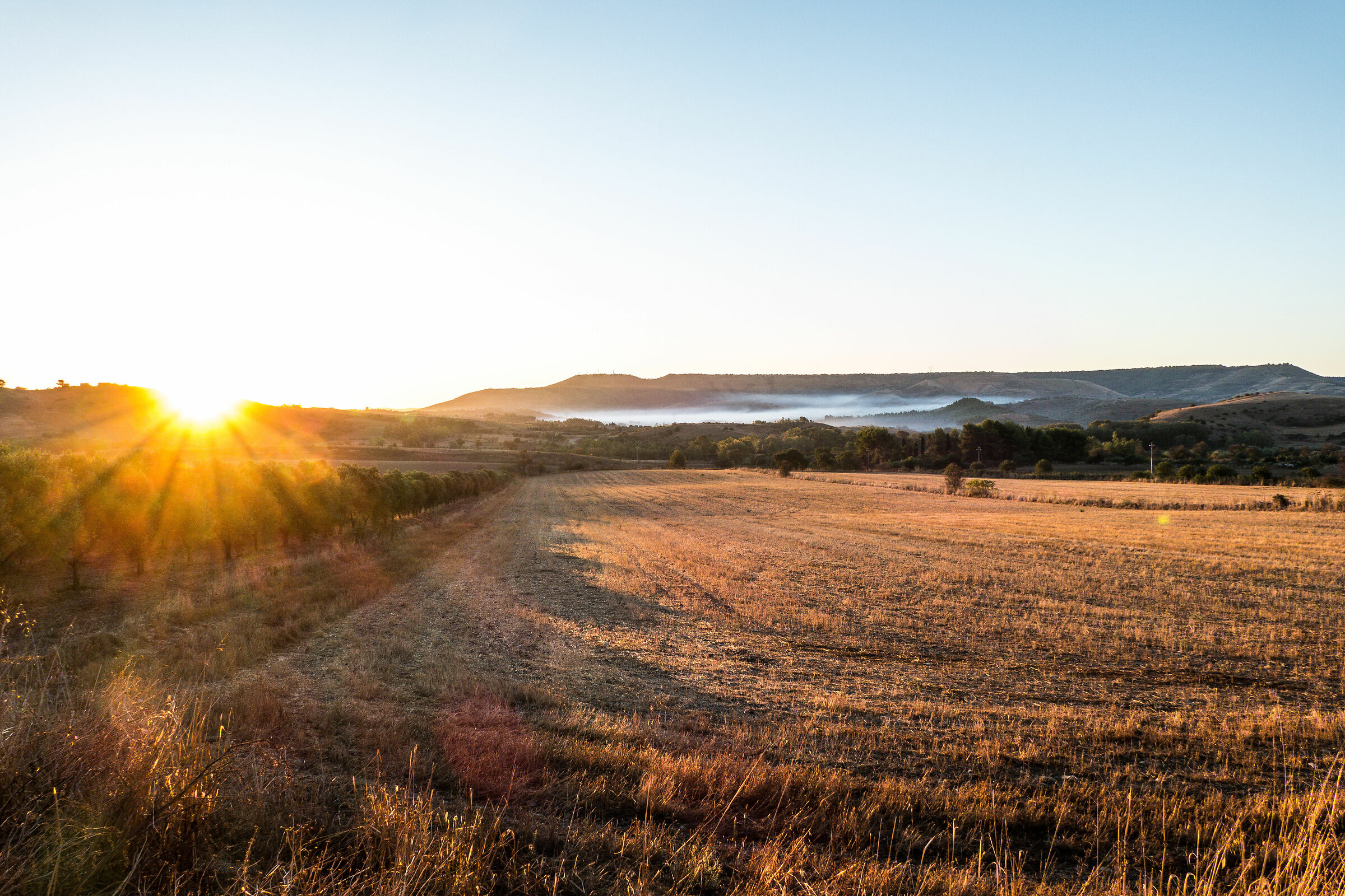 L'alba sulla nebbia della marmilla