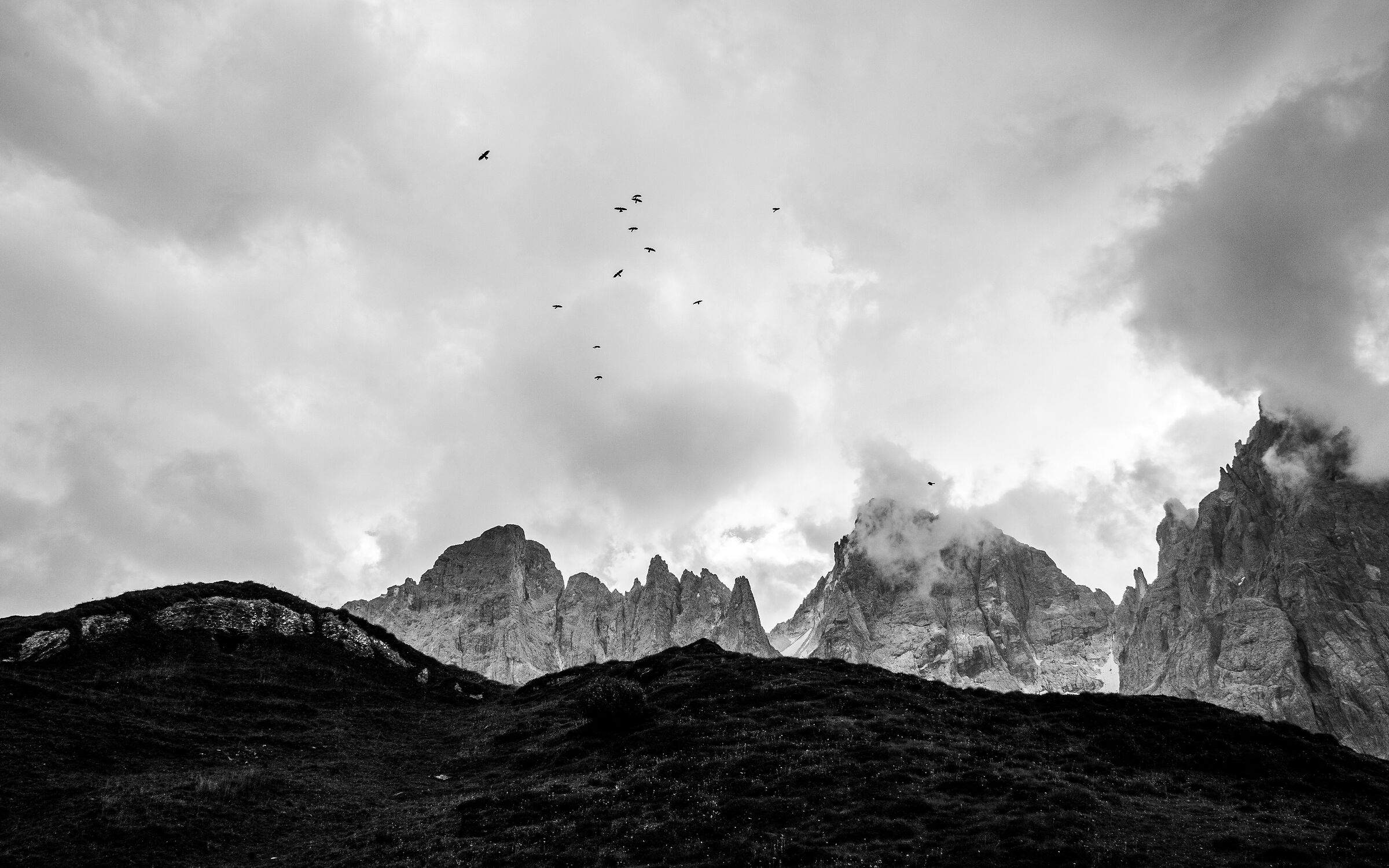 Volo d'uccelli sulle Pale di San Martino