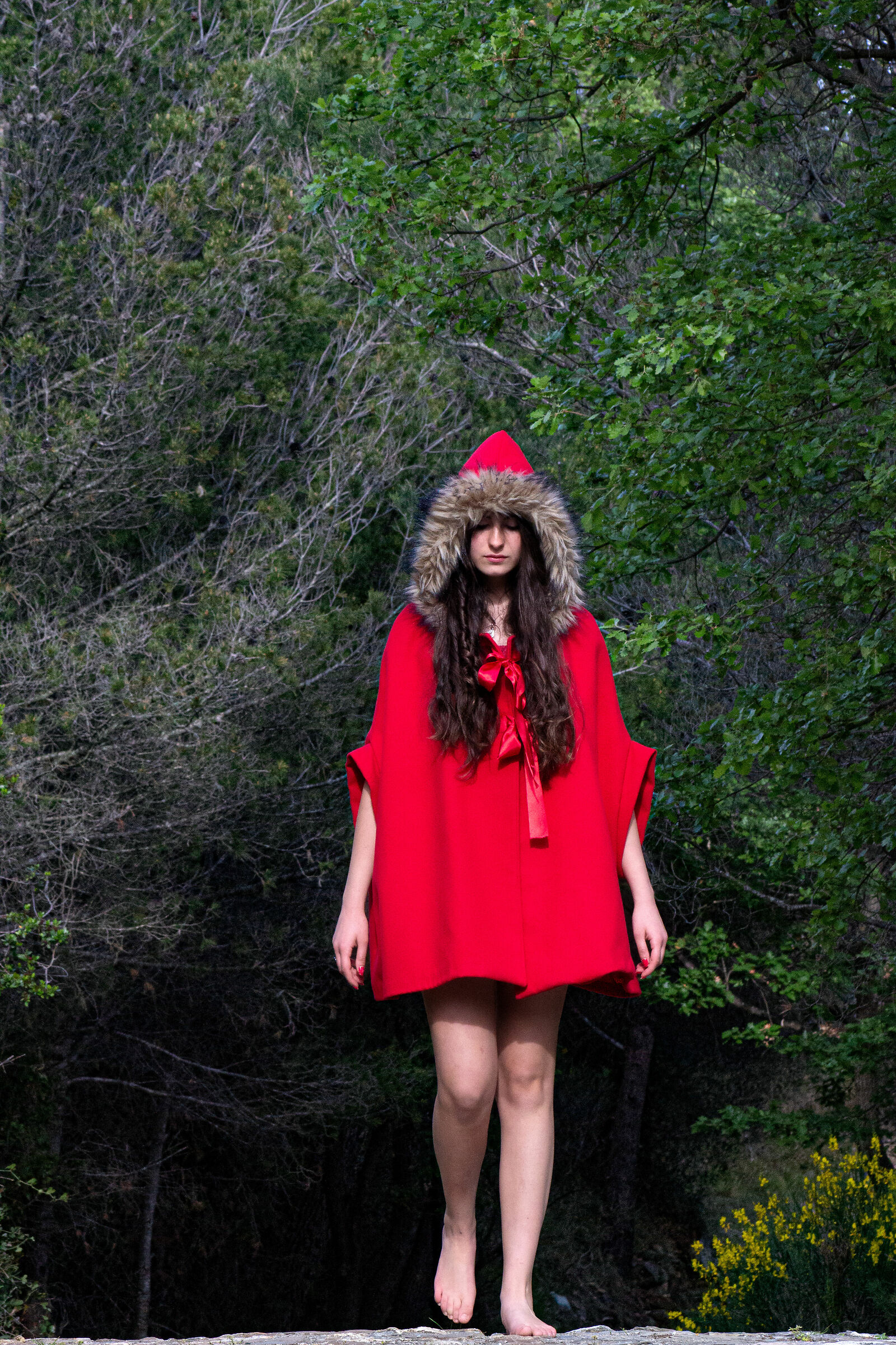 Little Red Riding Hood