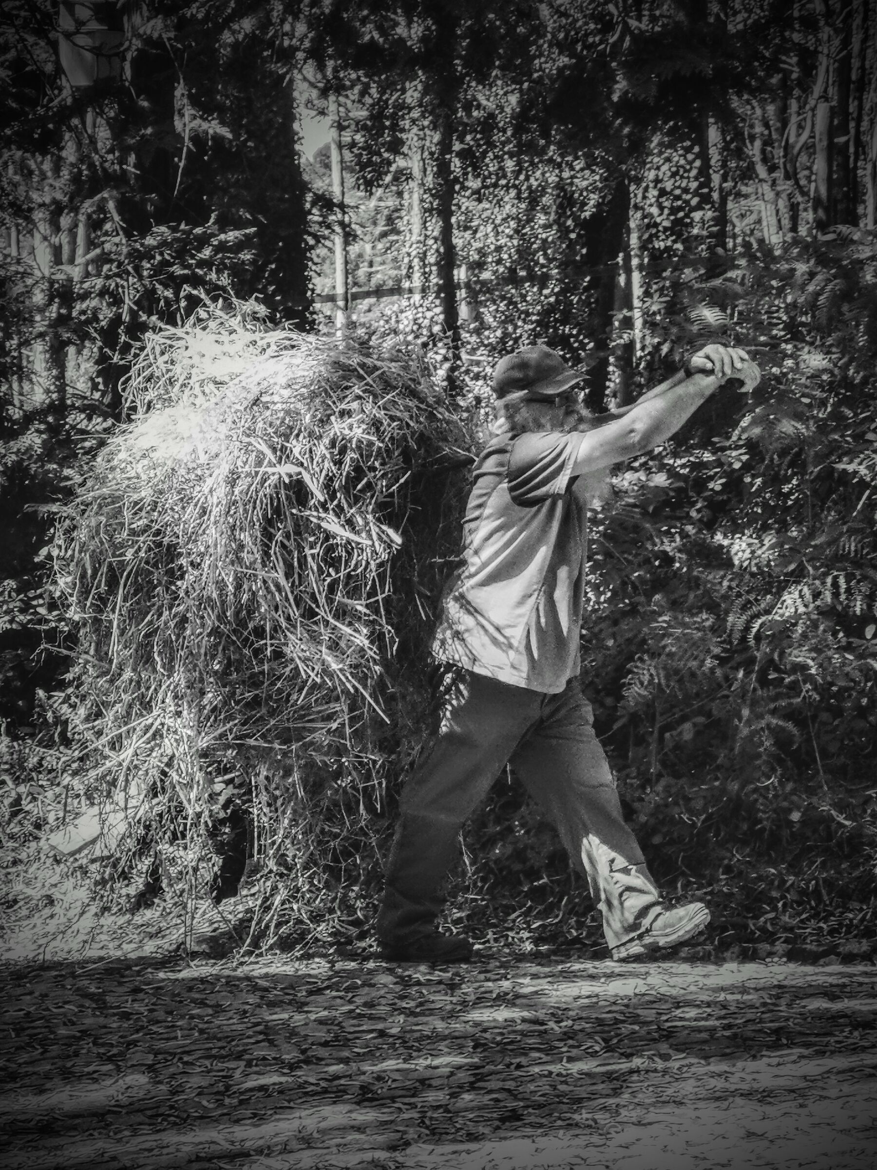 Parque Nacional da Pena