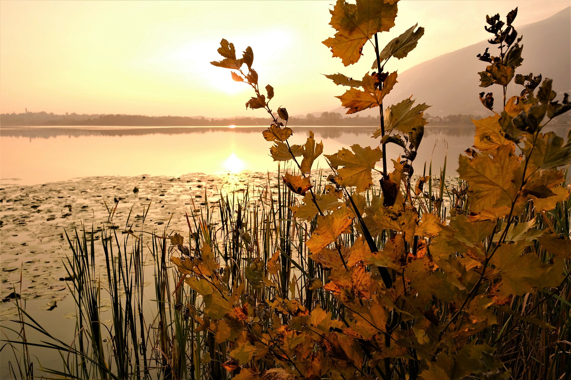 Autumn colors