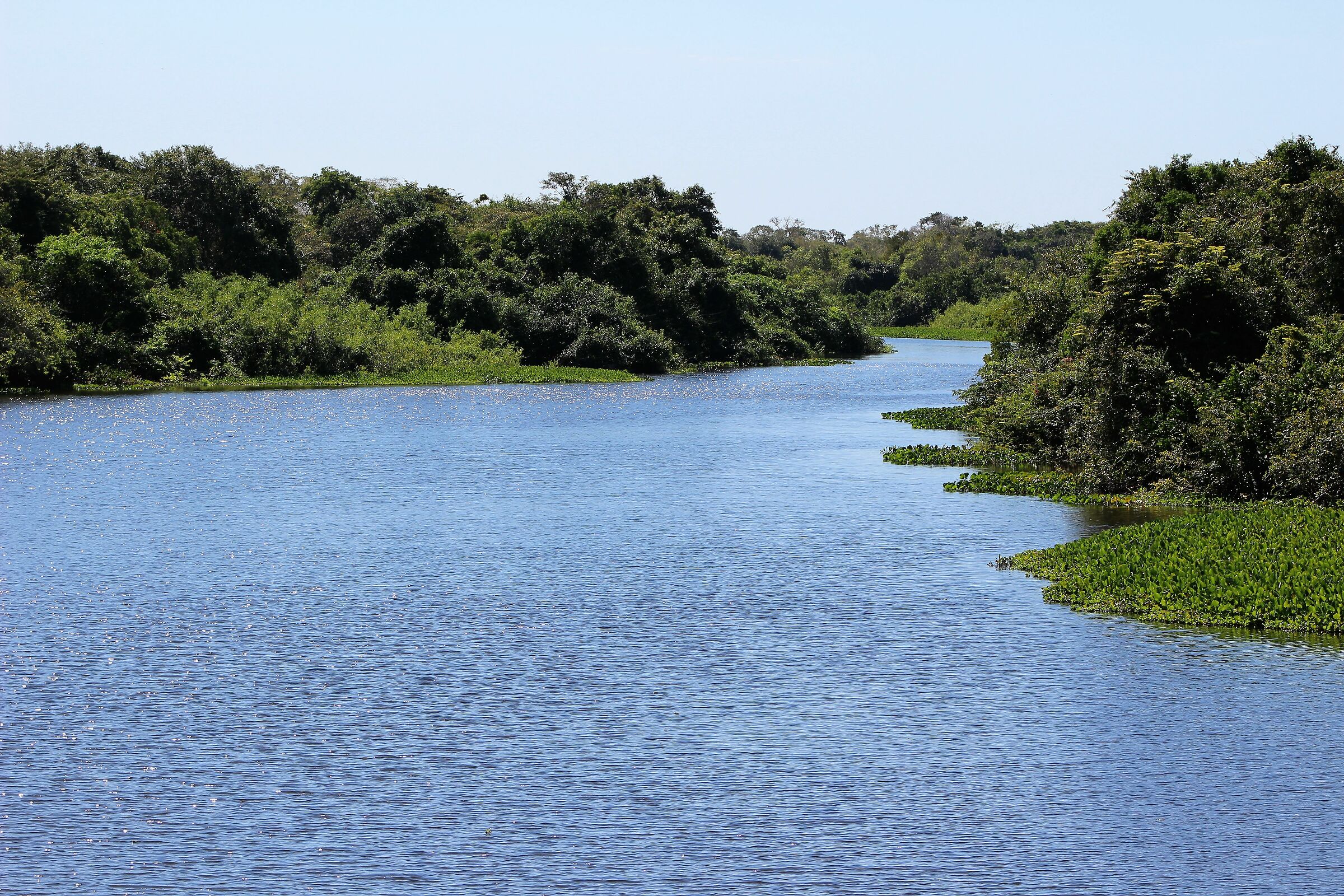 The Pantanal an immense floodplain