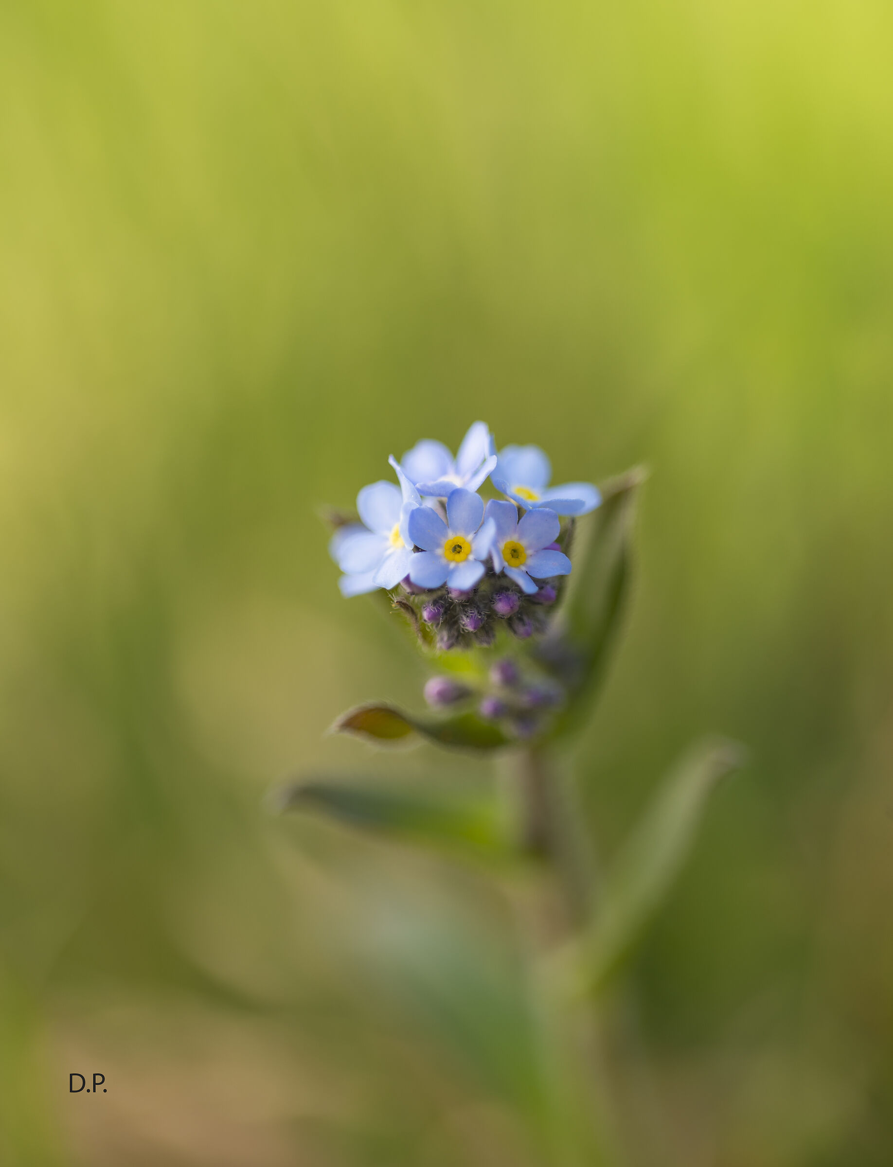 Don't forget about me