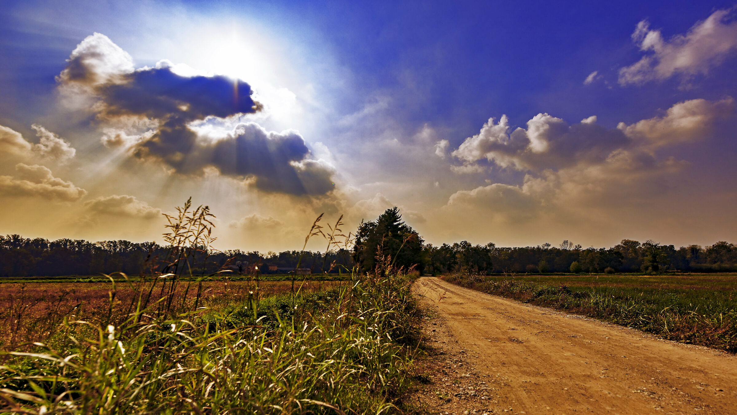 Lunga e diritta correva la strada