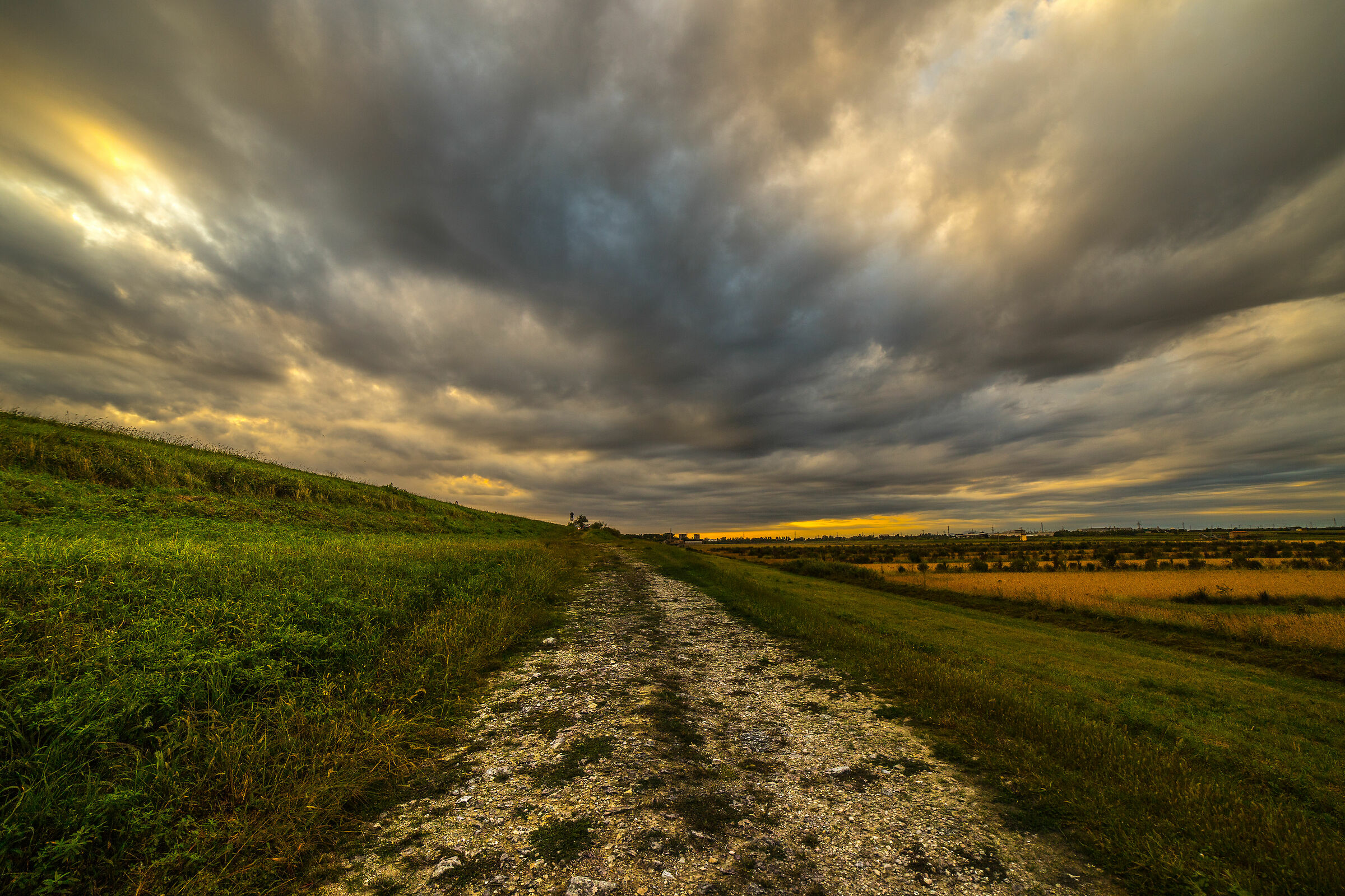 landscapes in the delta !
