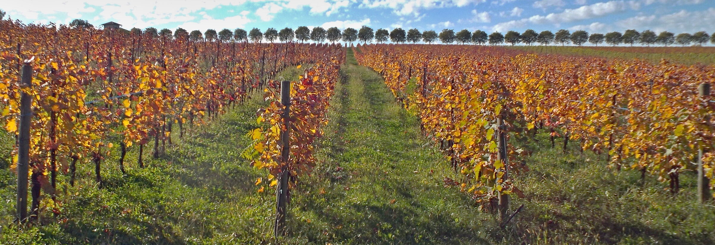 After the harvests......