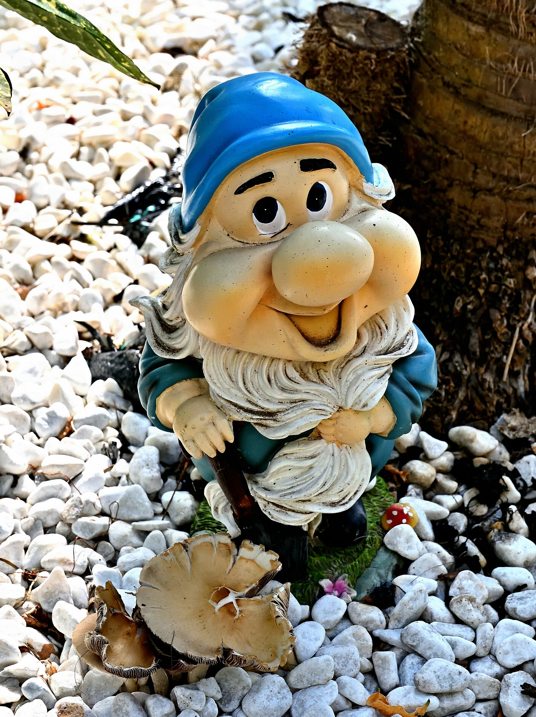 Nanetto al lavoro... con funghi veri