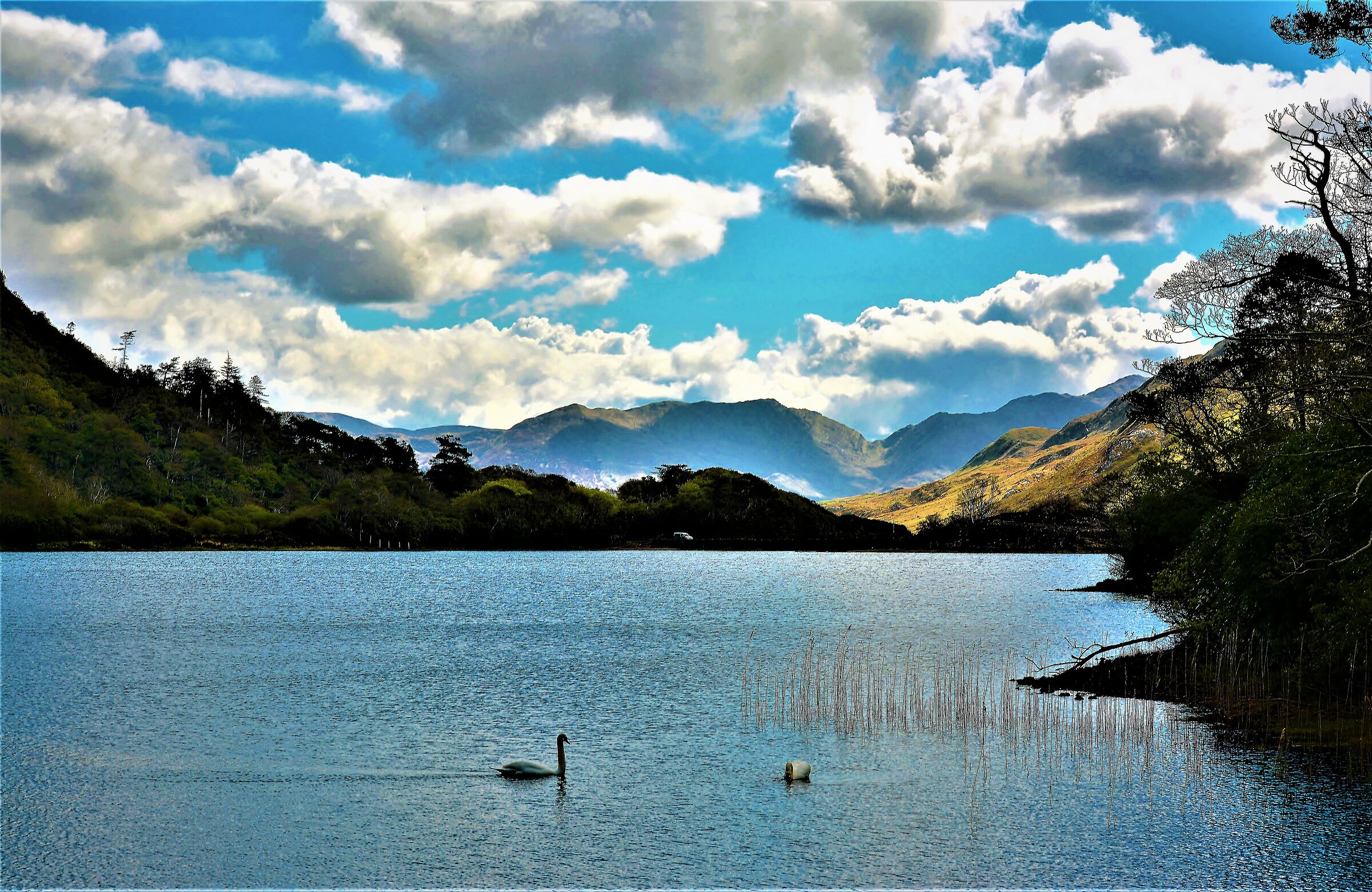 Minimalist photography.