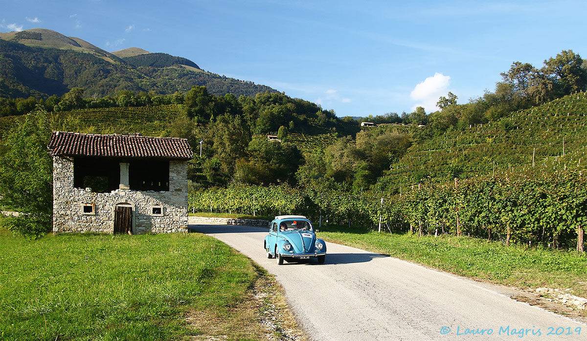 100 Miglia ed.2019 - Volkswagen Maggiolino del 1961