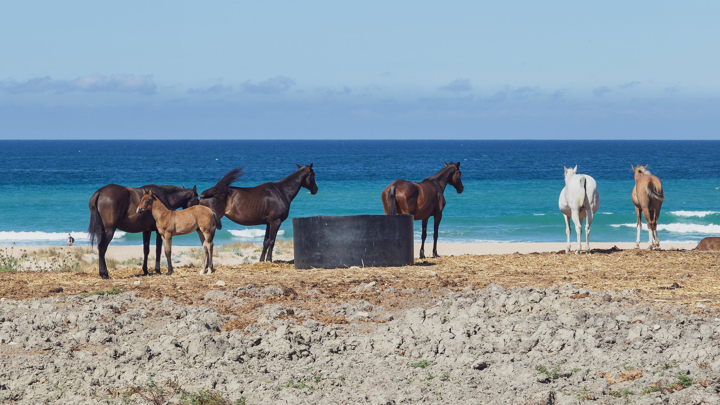 Playa de los Atunes