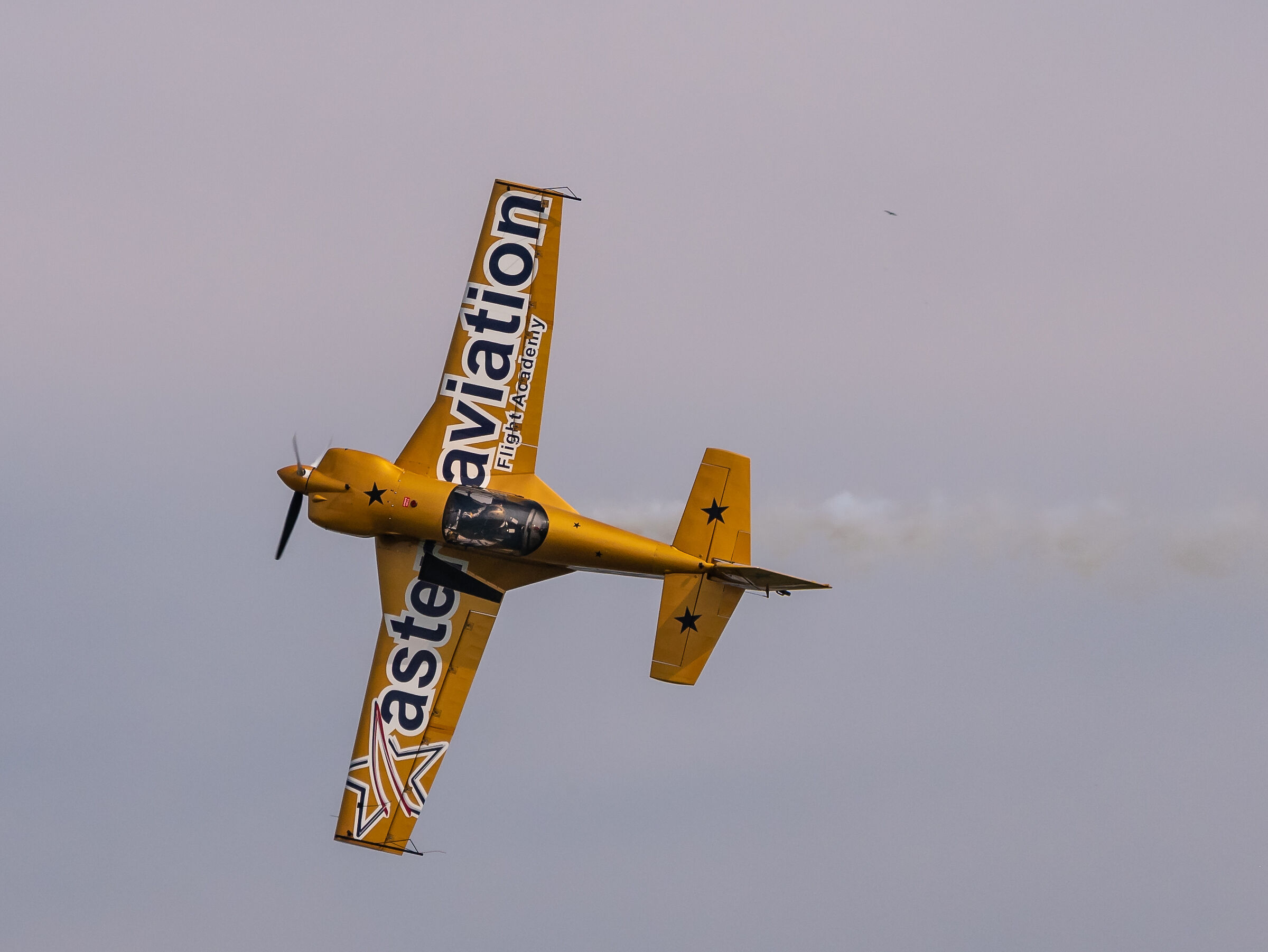 Linate air show 2019