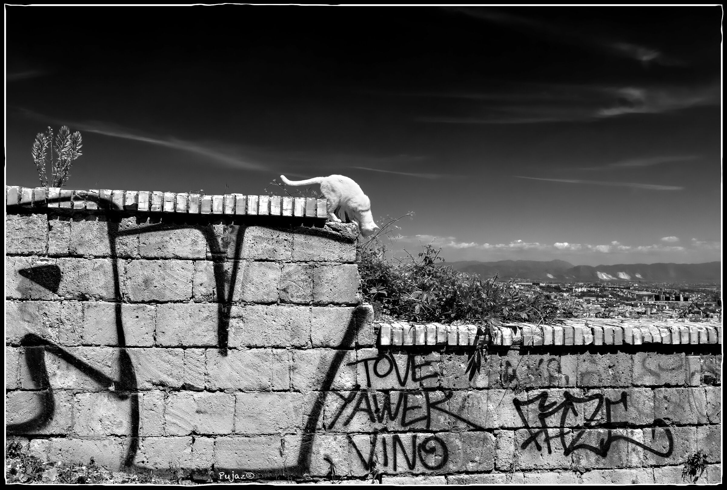 Pe×na di San Martino