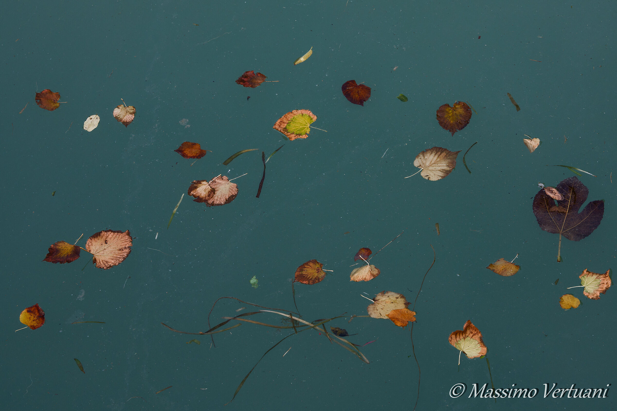 L'autunno alle porte.....