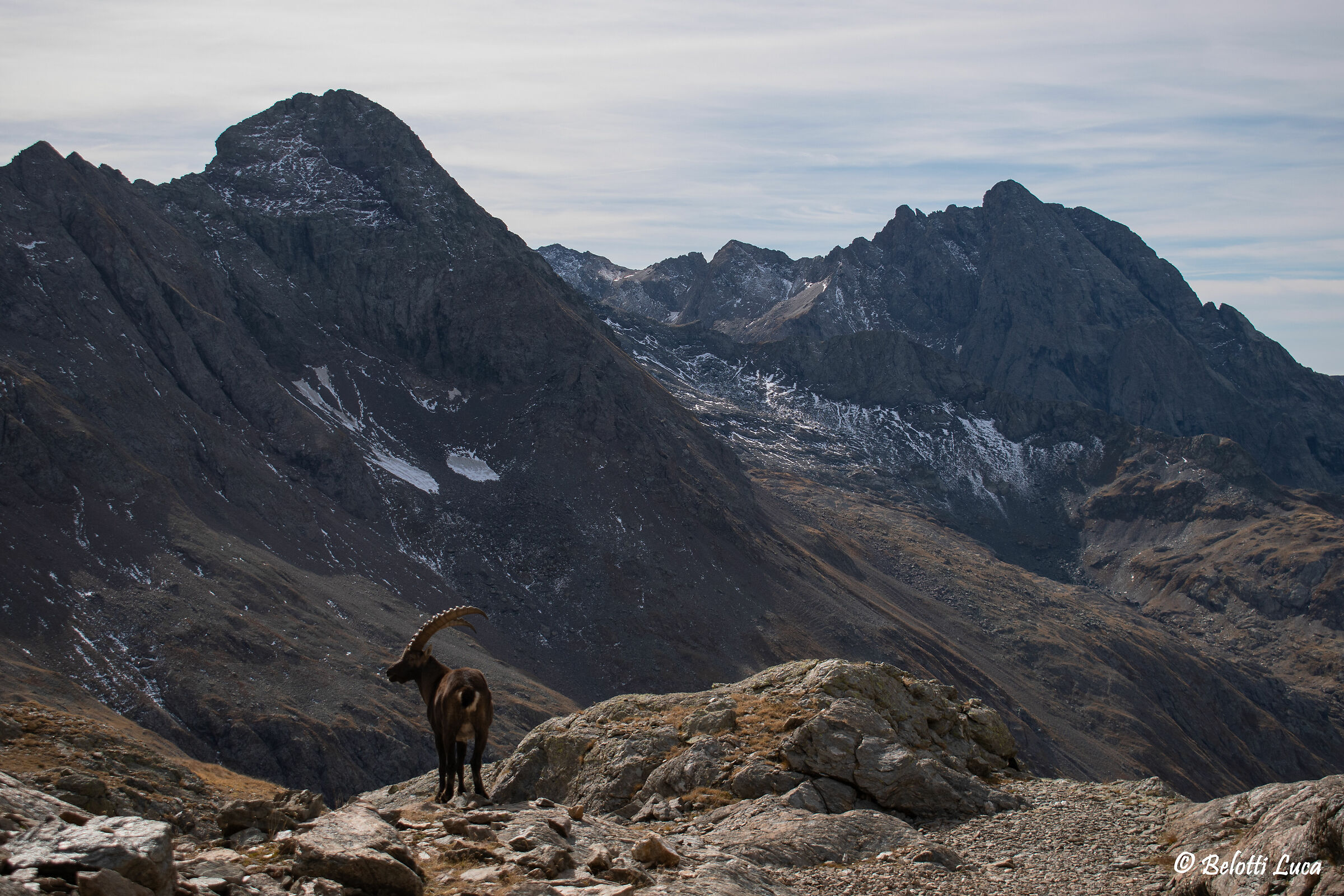 In the midst of the giants