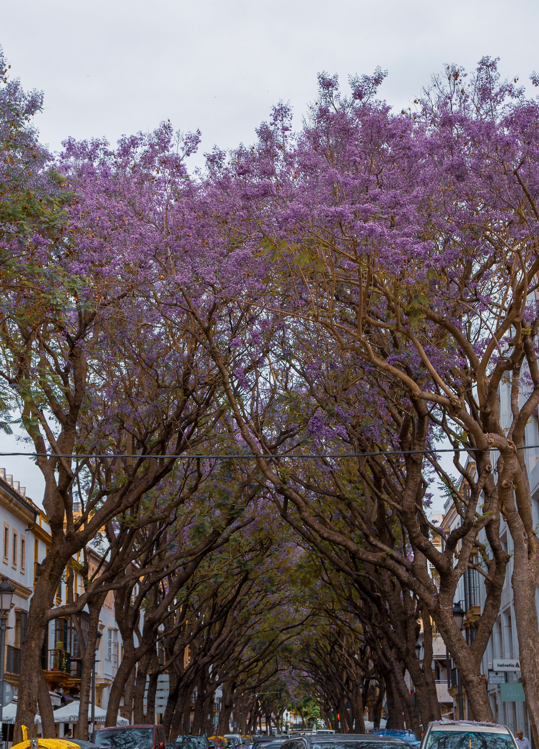 Jeres De La Frontera