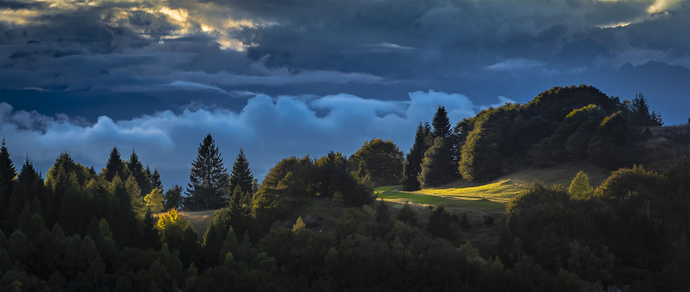 Alberi e nuvole al tramonto