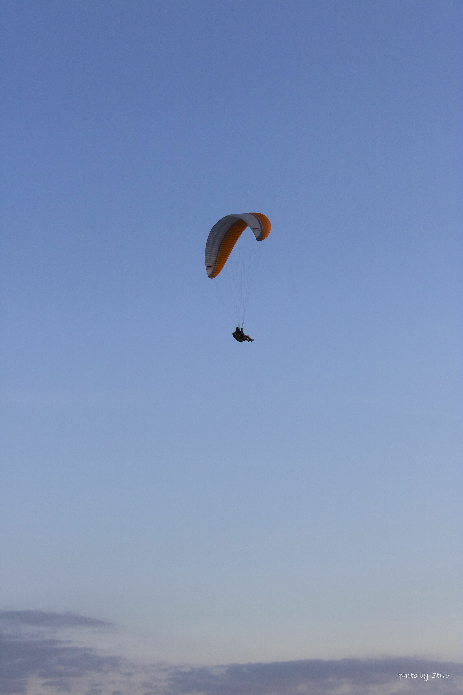 Freedom