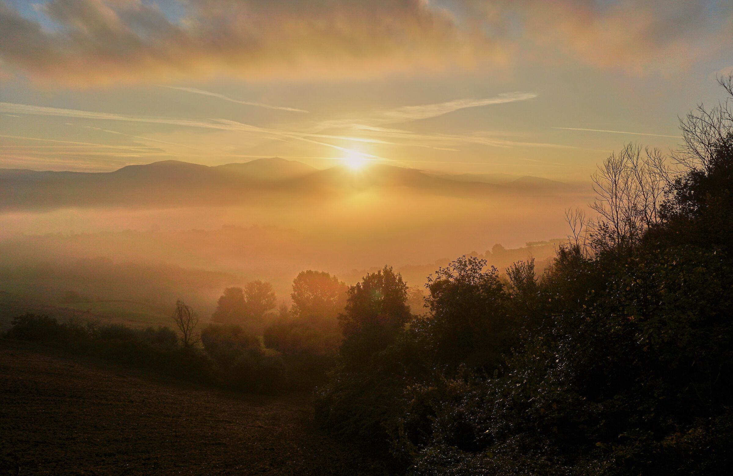 Certain autumn mornings