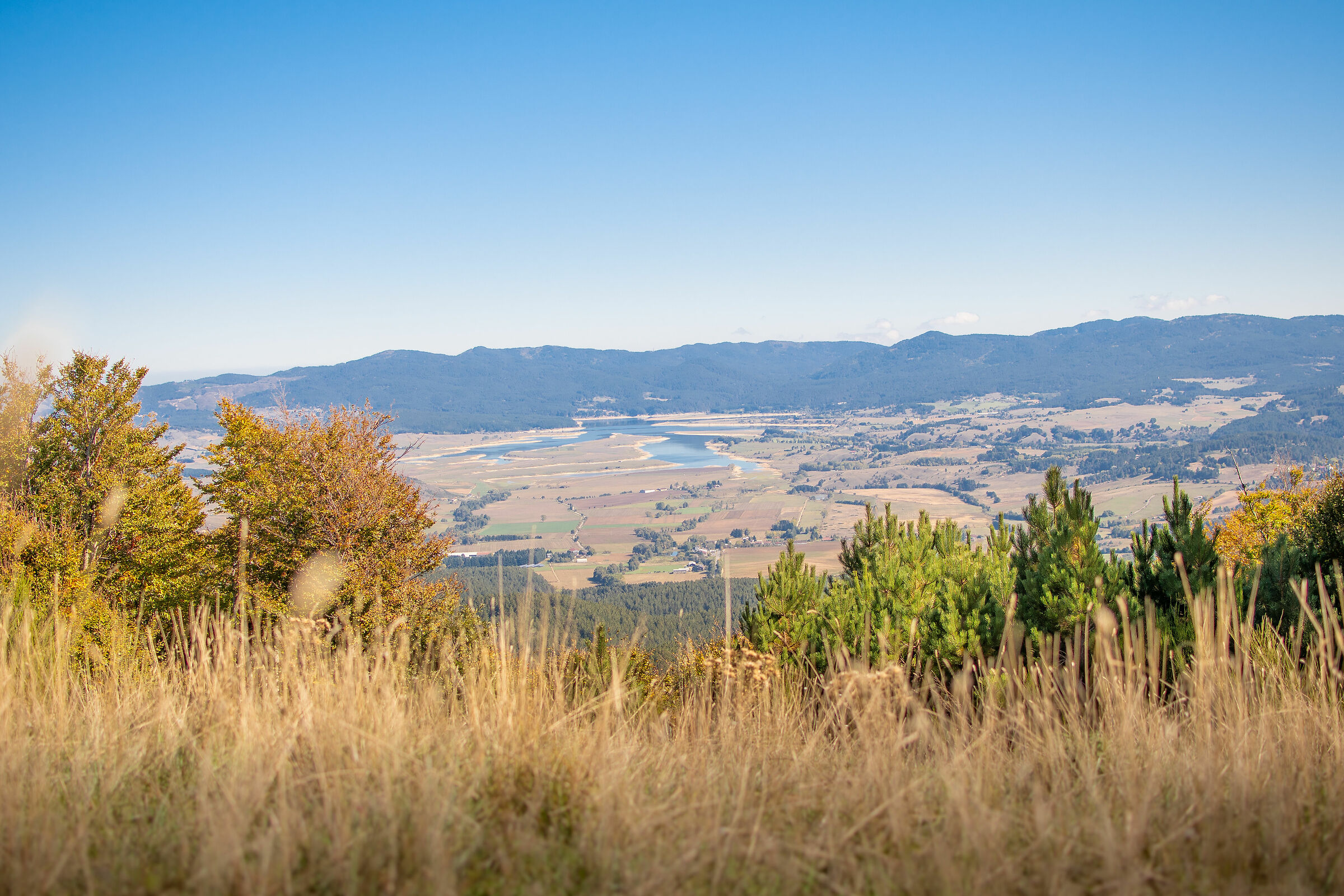 Cecita from the pagliara