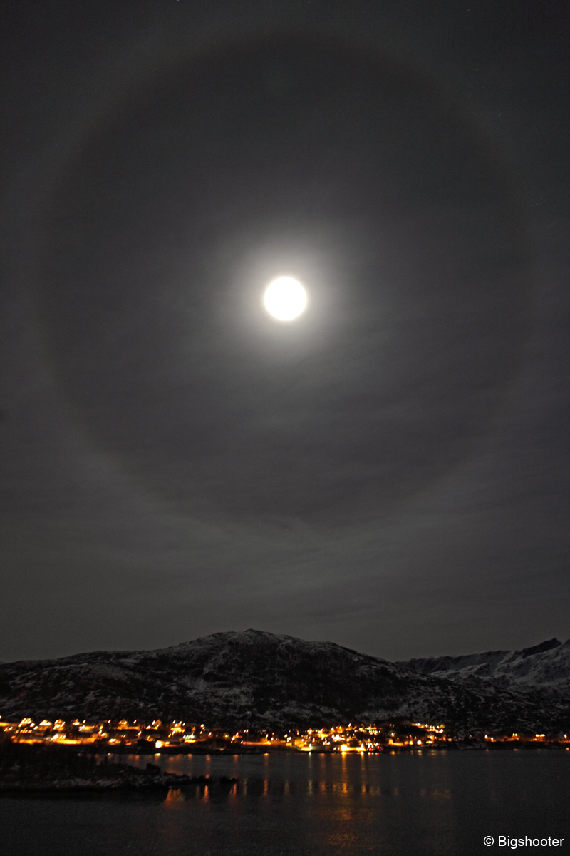 Artic Ring