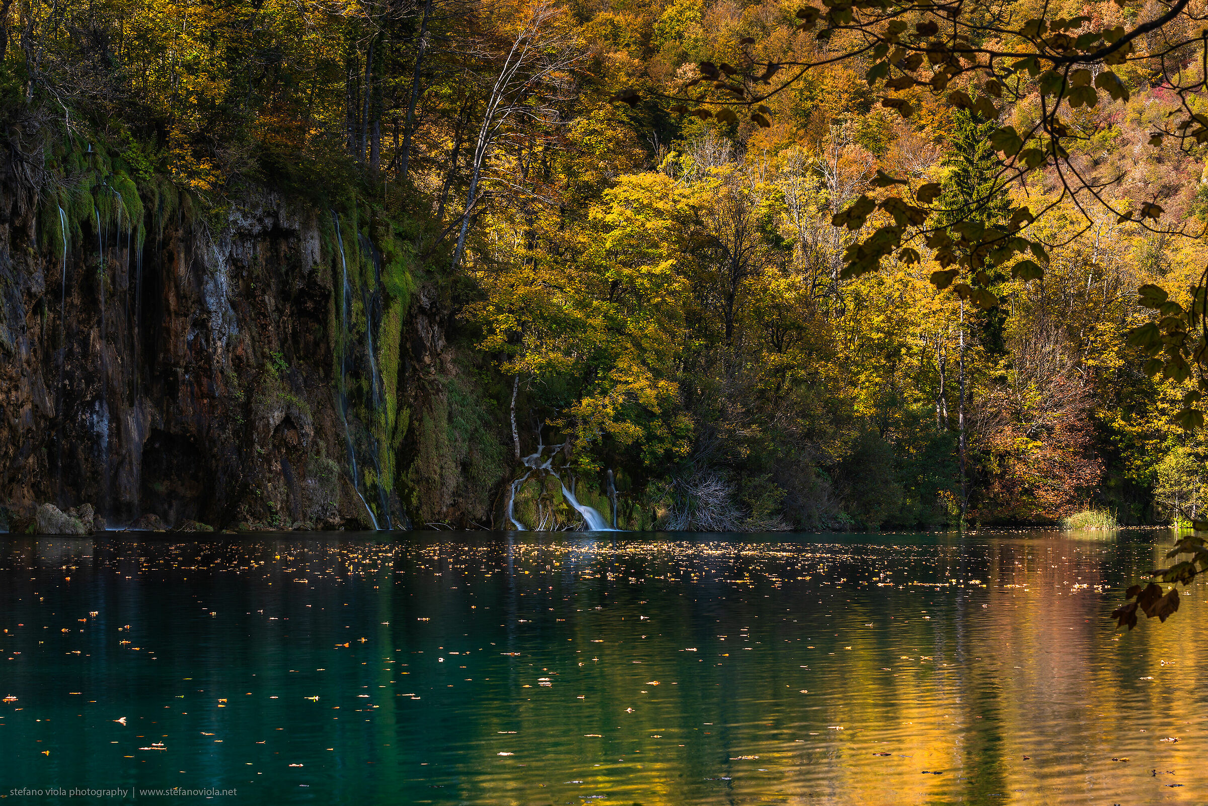 Plitvice foliage