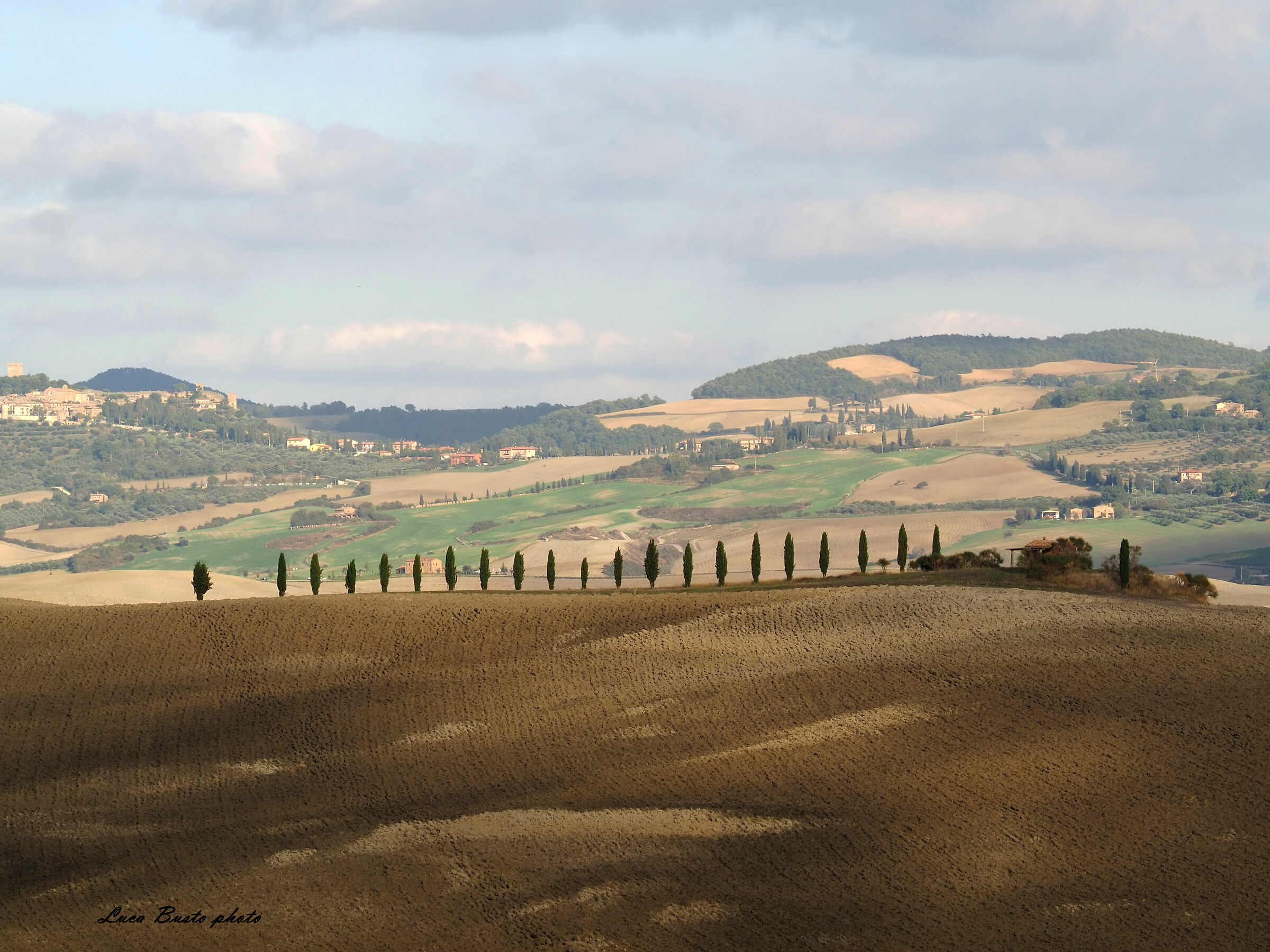 Cipressi - San Quirico