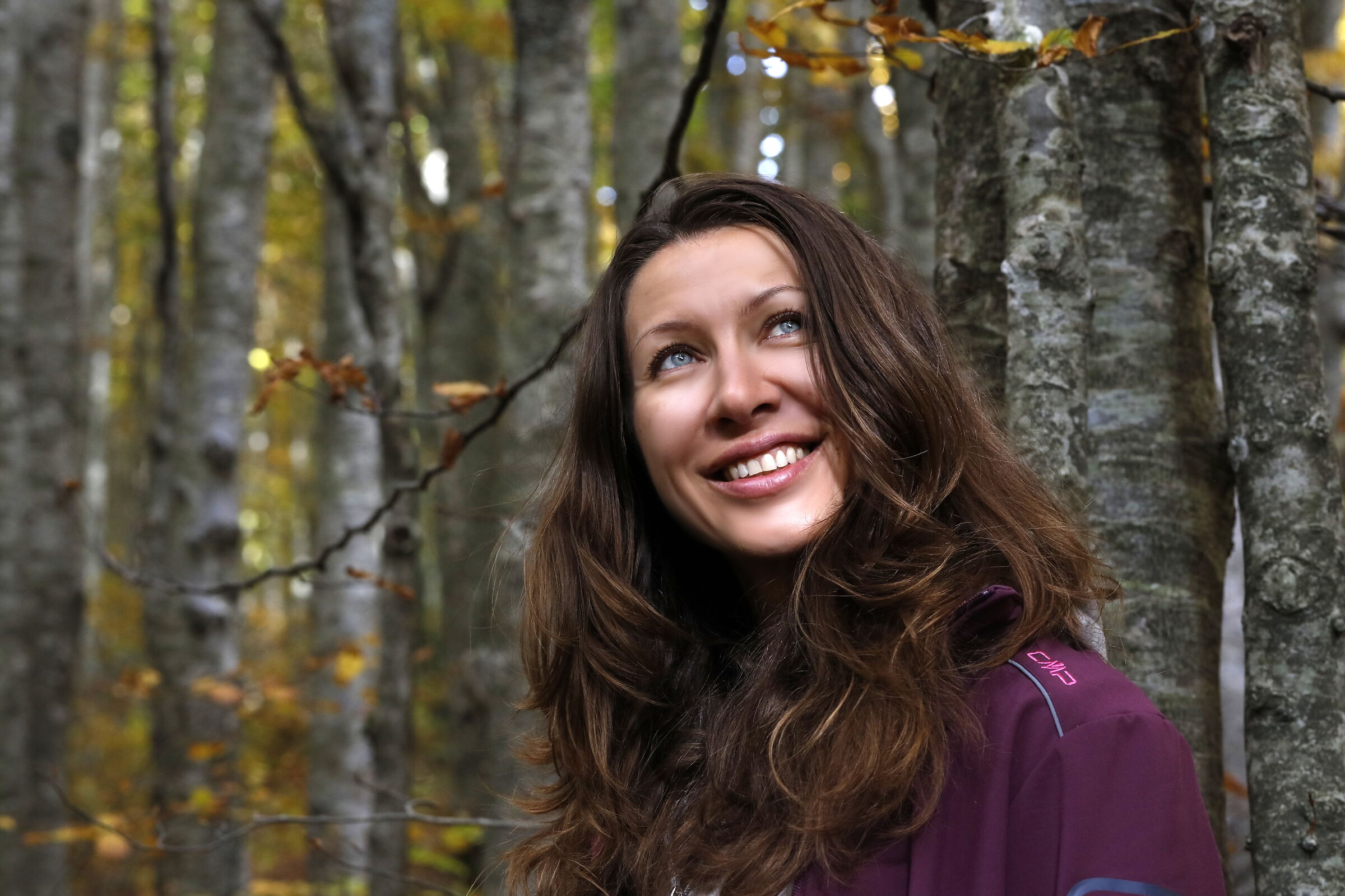 Cercando un raggio di sole