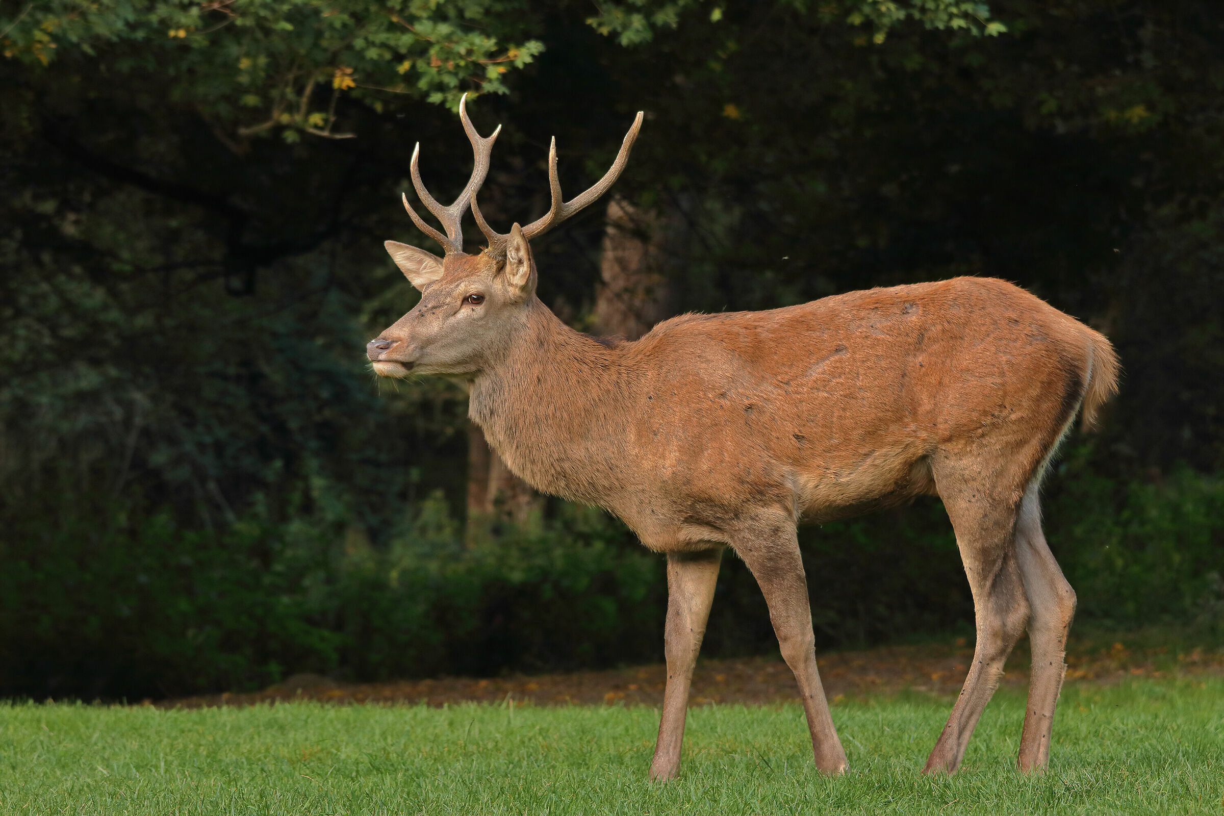 You're not the RE yet.