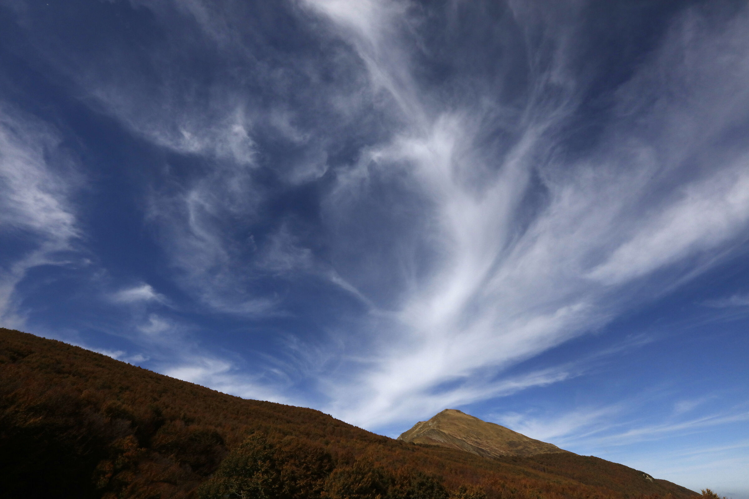 Il cielo sopra il Bosco