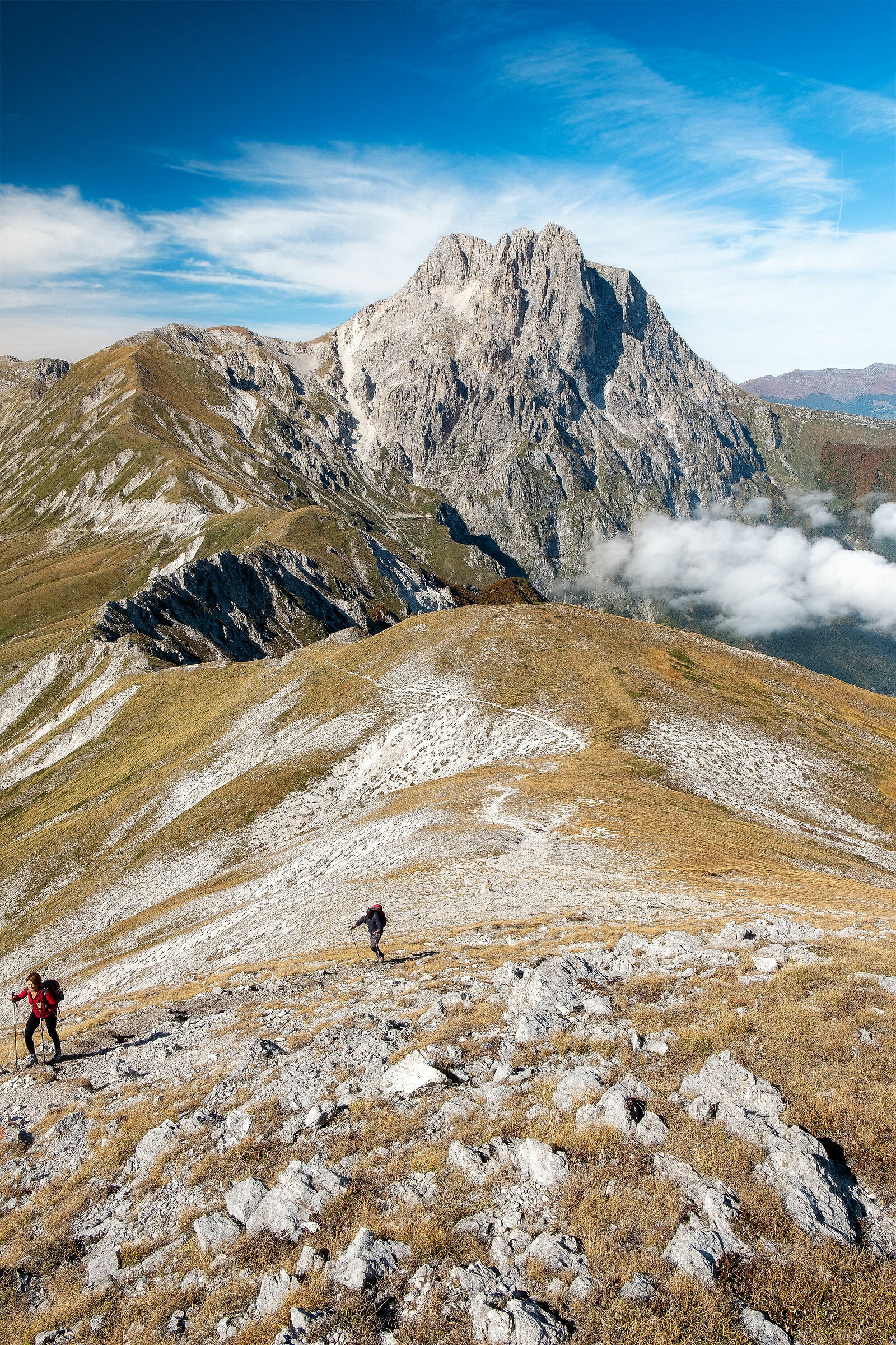 Dare le spalle a sua maestà