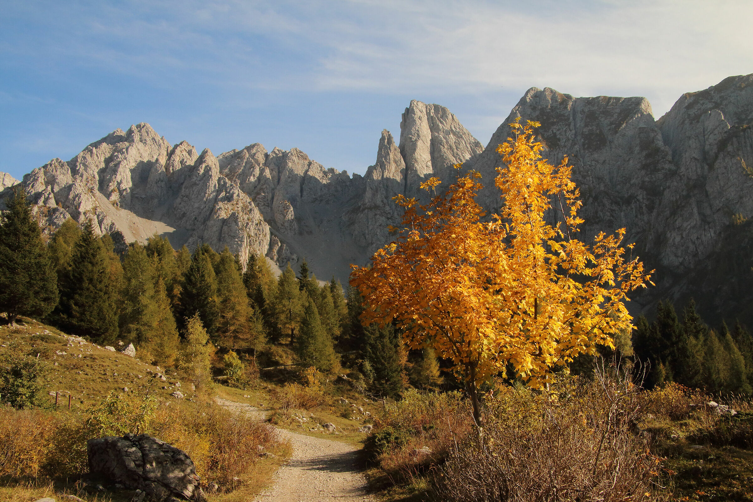 inizio d'autunno ai Campelli