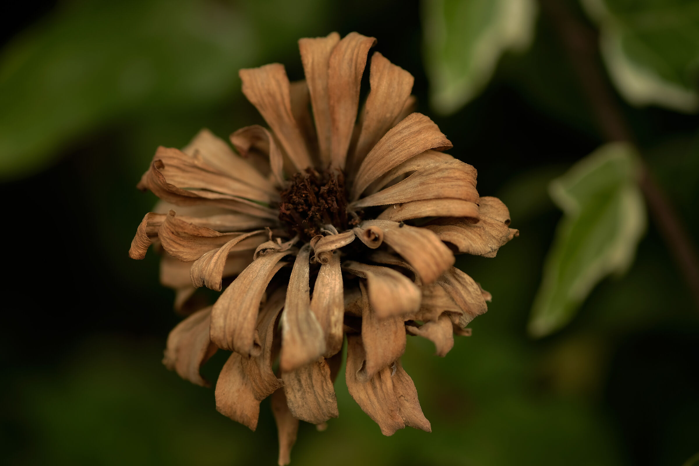 Quel che resta del giorno