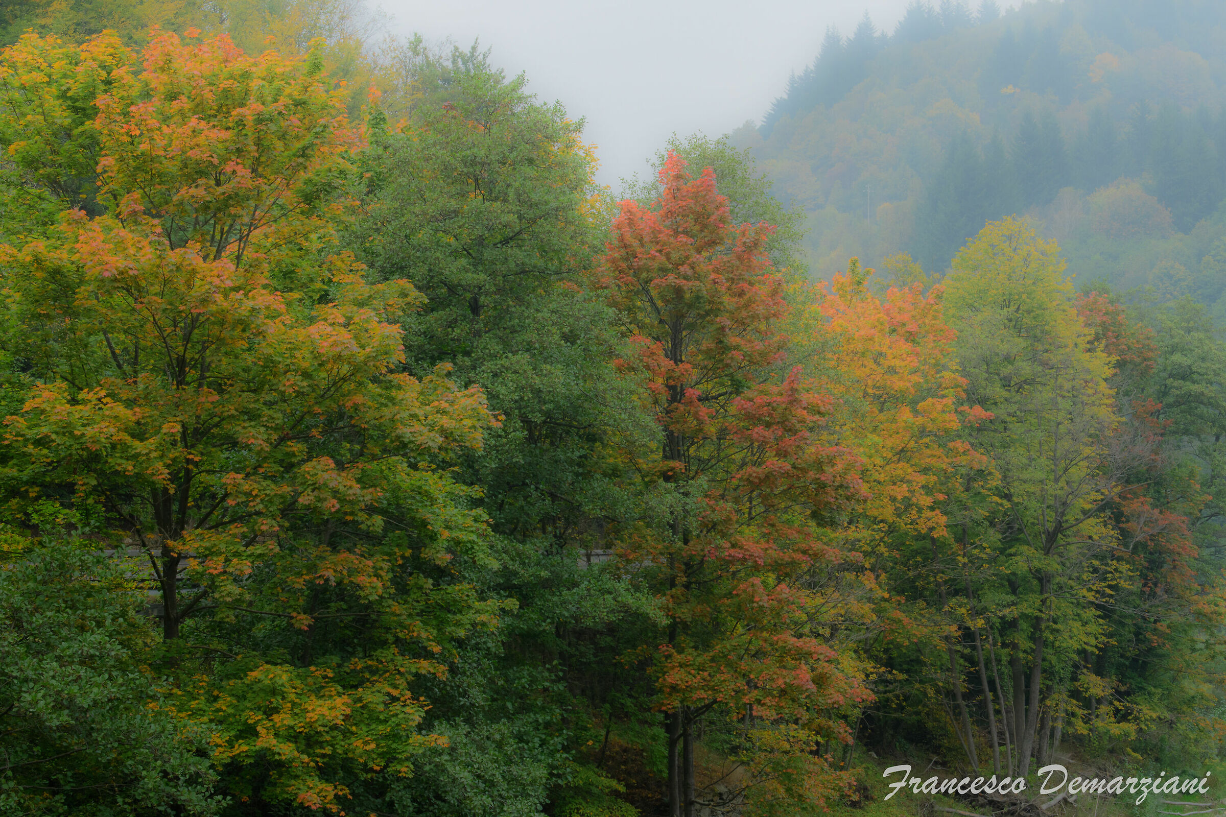 Autunno in Valle Bormida