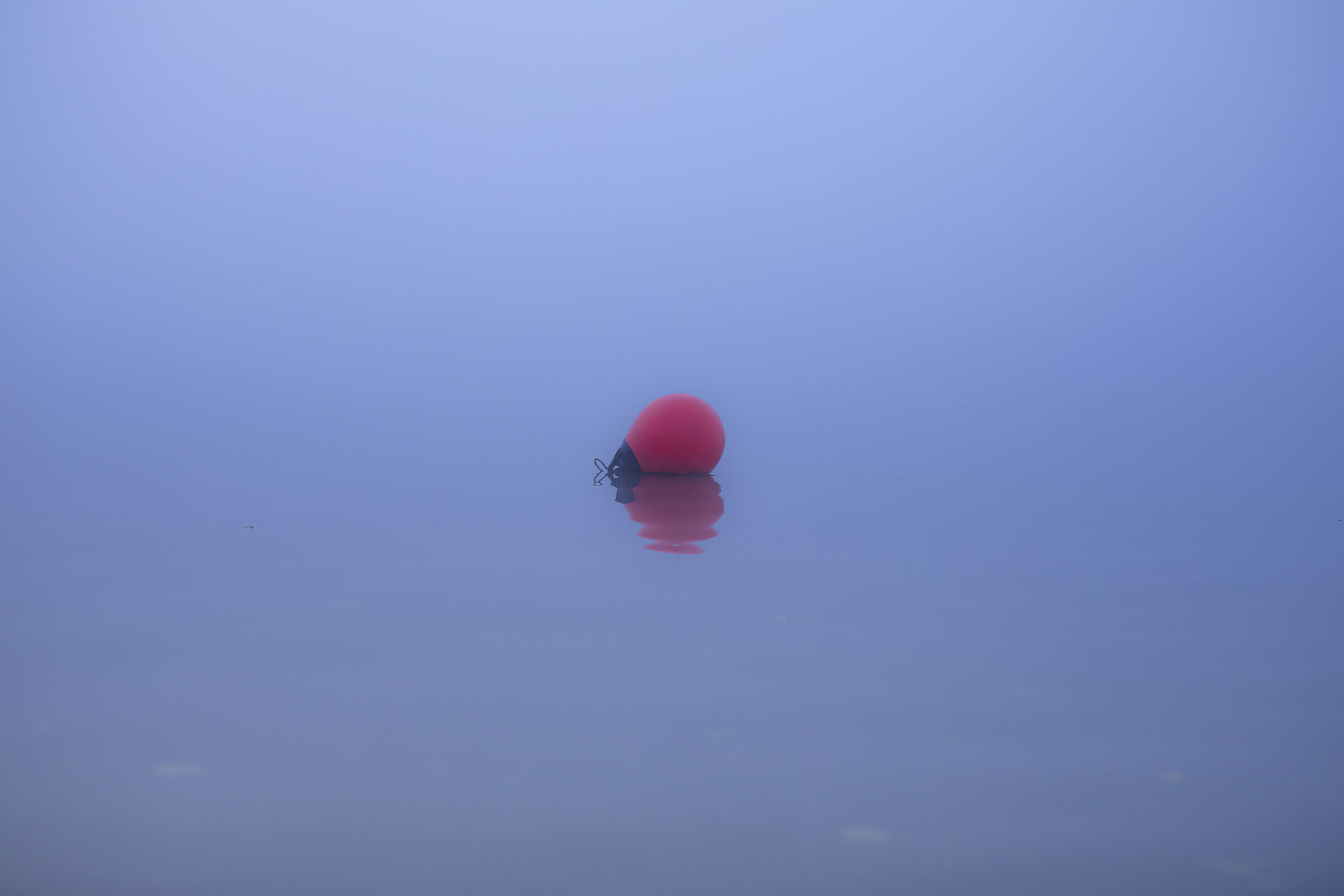 Essenzialmente il nulla