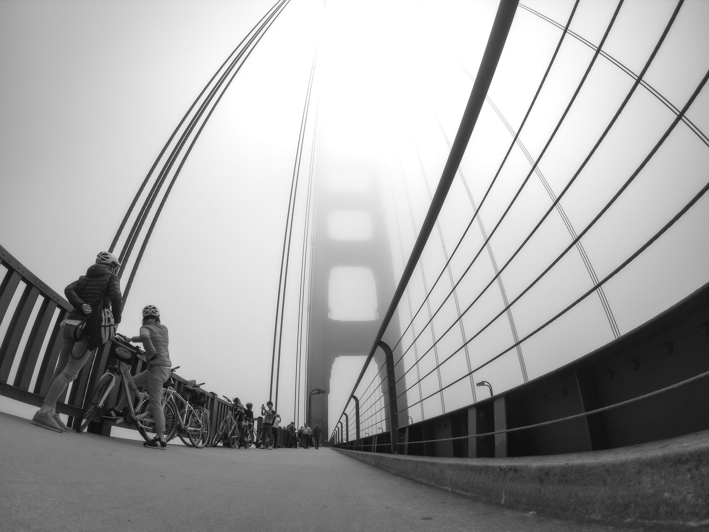 In the Mist on the Golden Gate