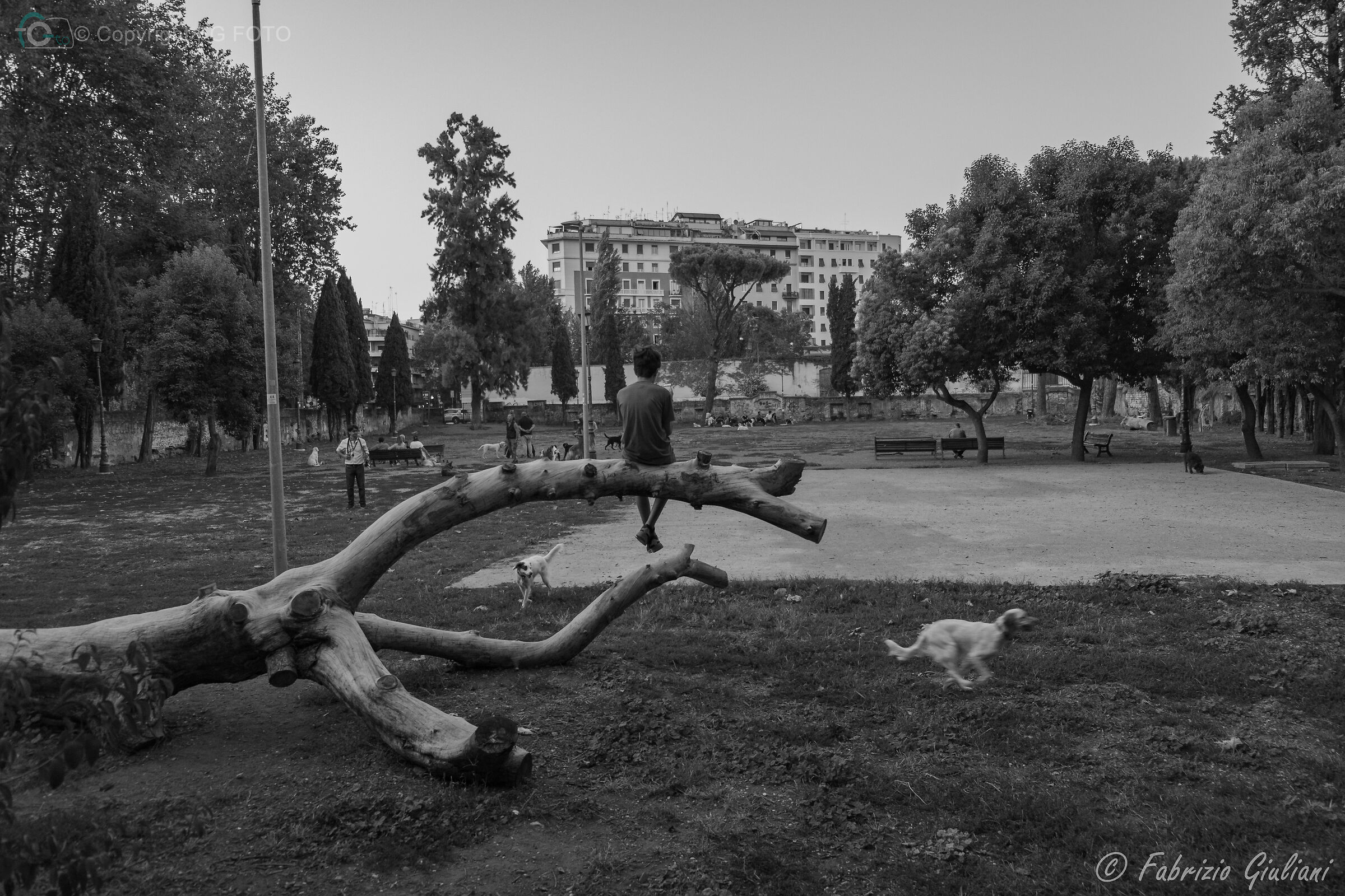 A day at the park...