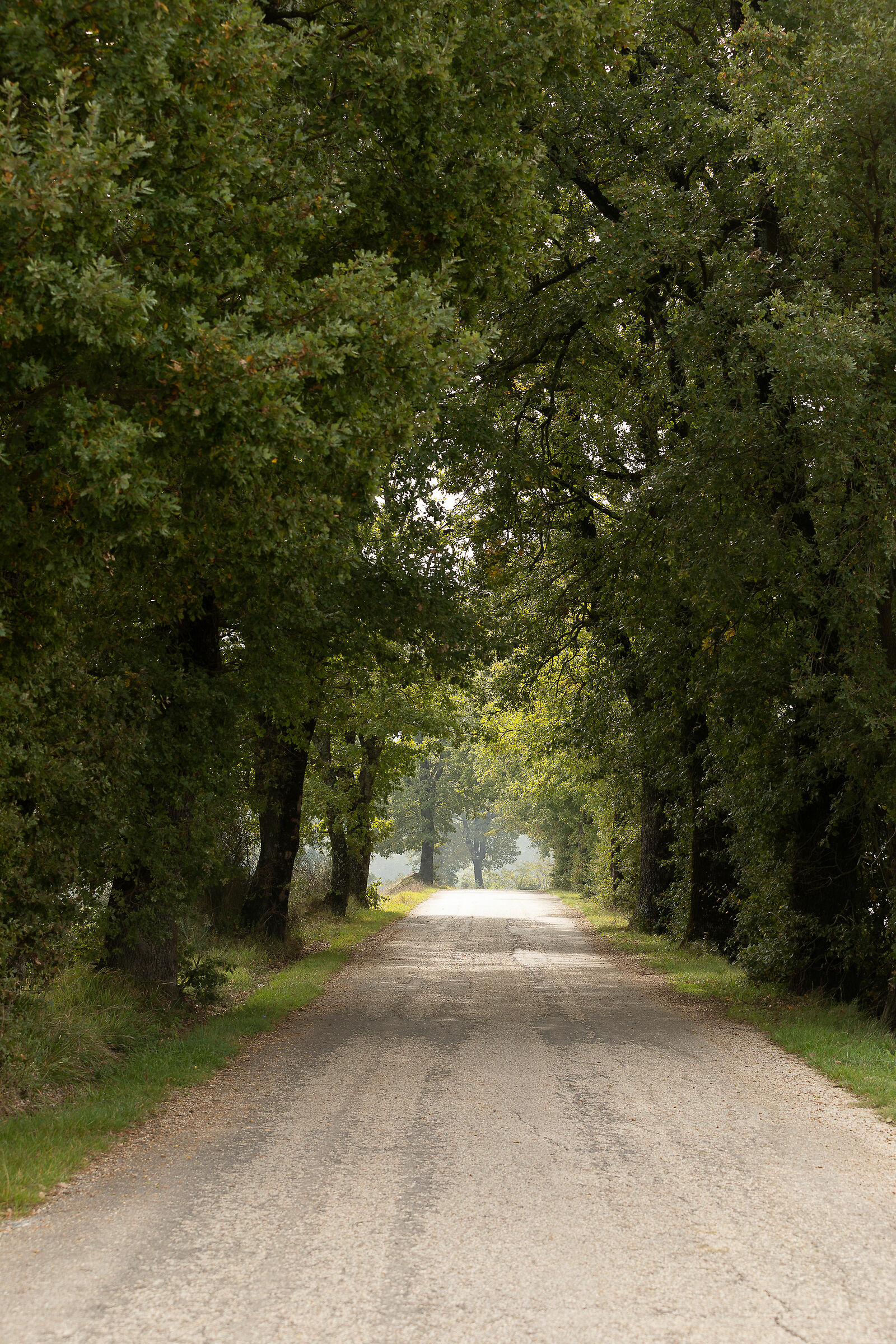 Tra Citerna e Monterchi