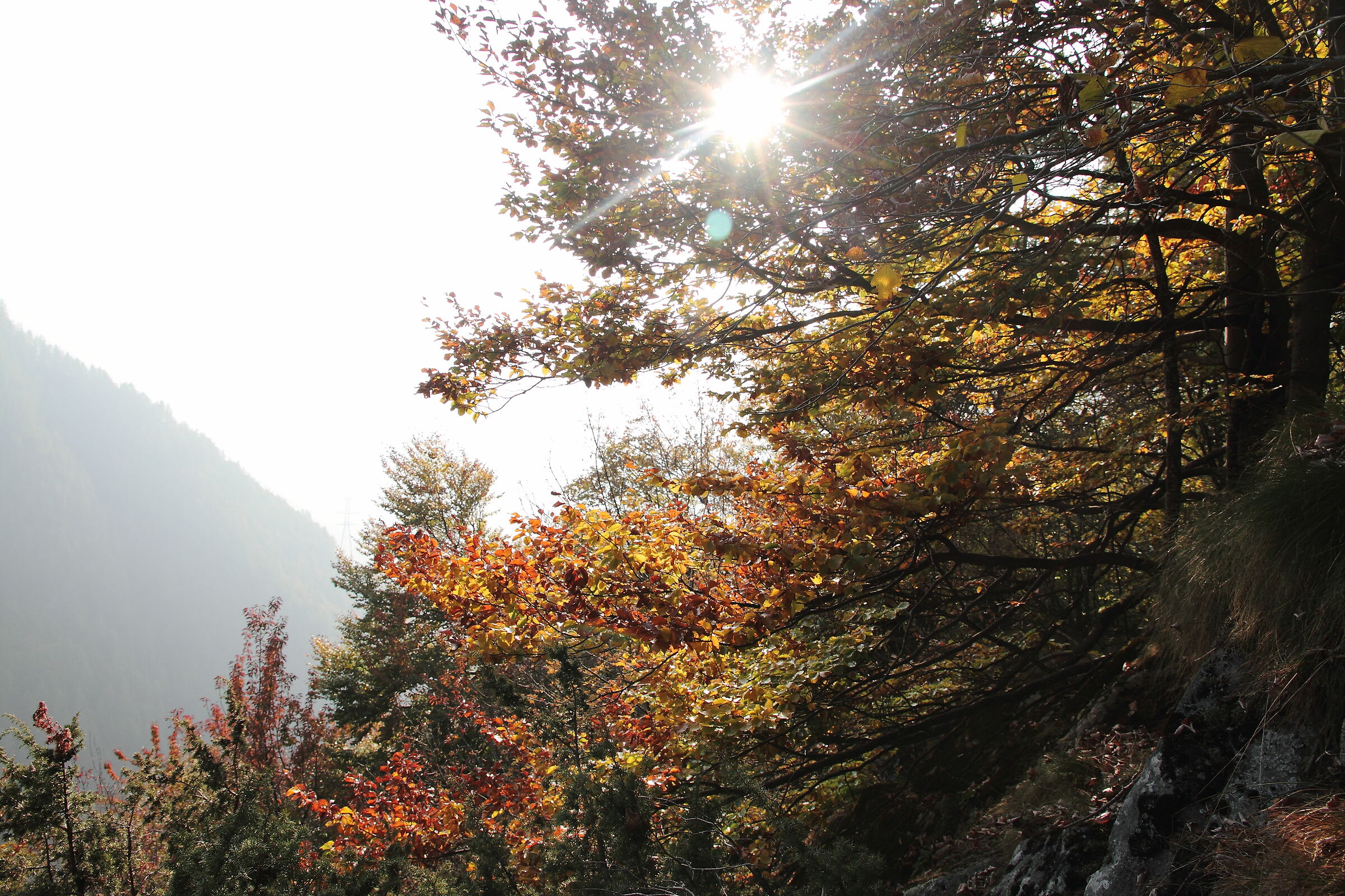 The lights and colours of autumn