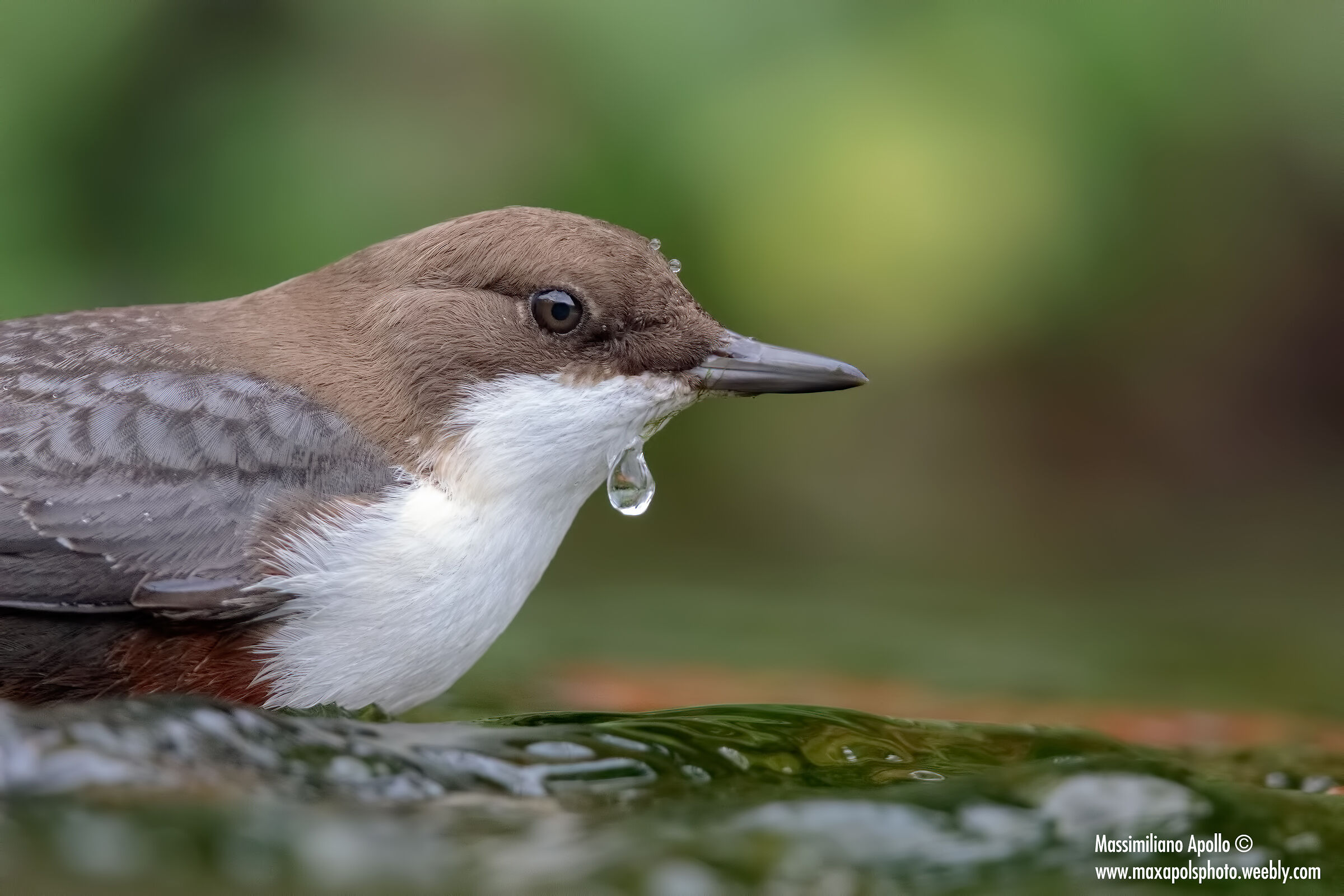se c'è la goccia...
