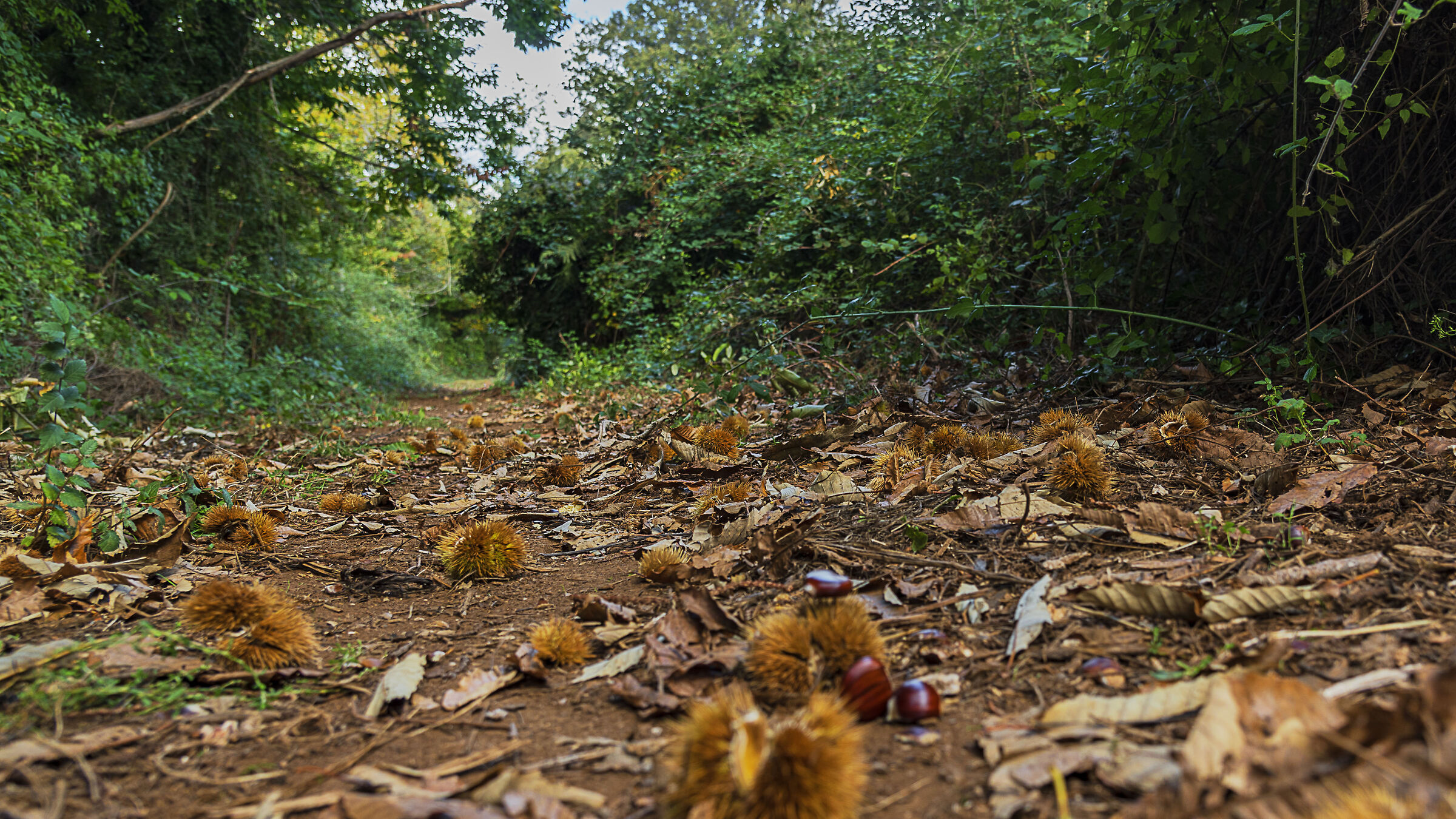 Ne restarono solo tre..