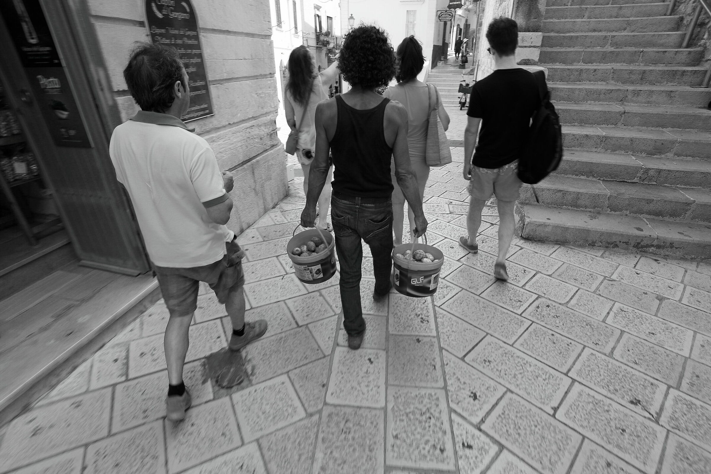 Carrier of indian figs in Vieste