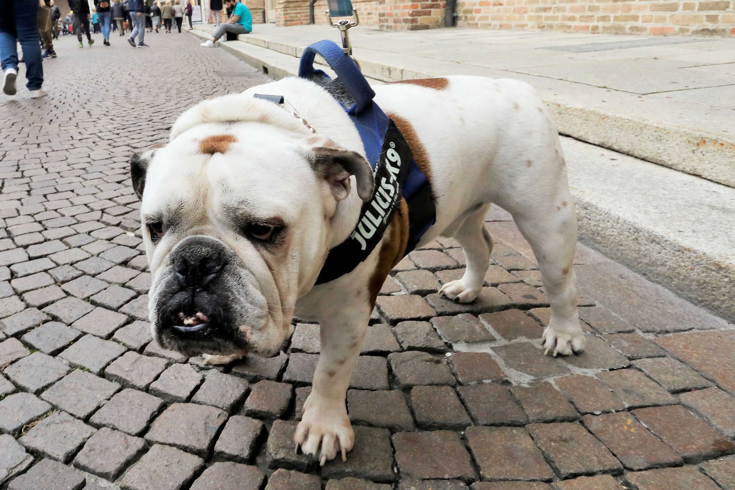 It's called - Sergio -