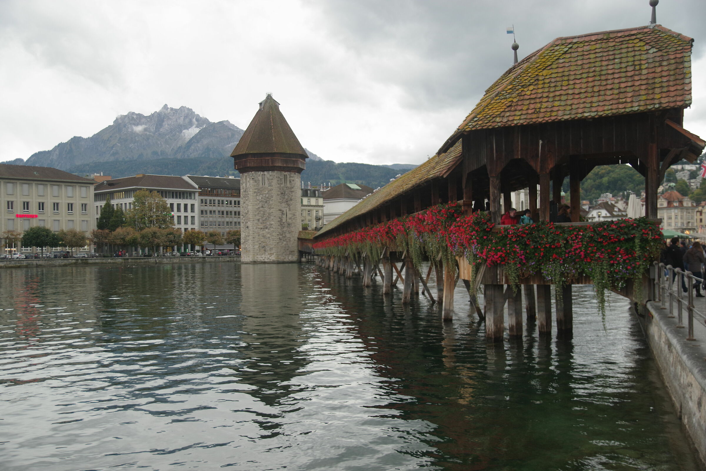 Lucerne