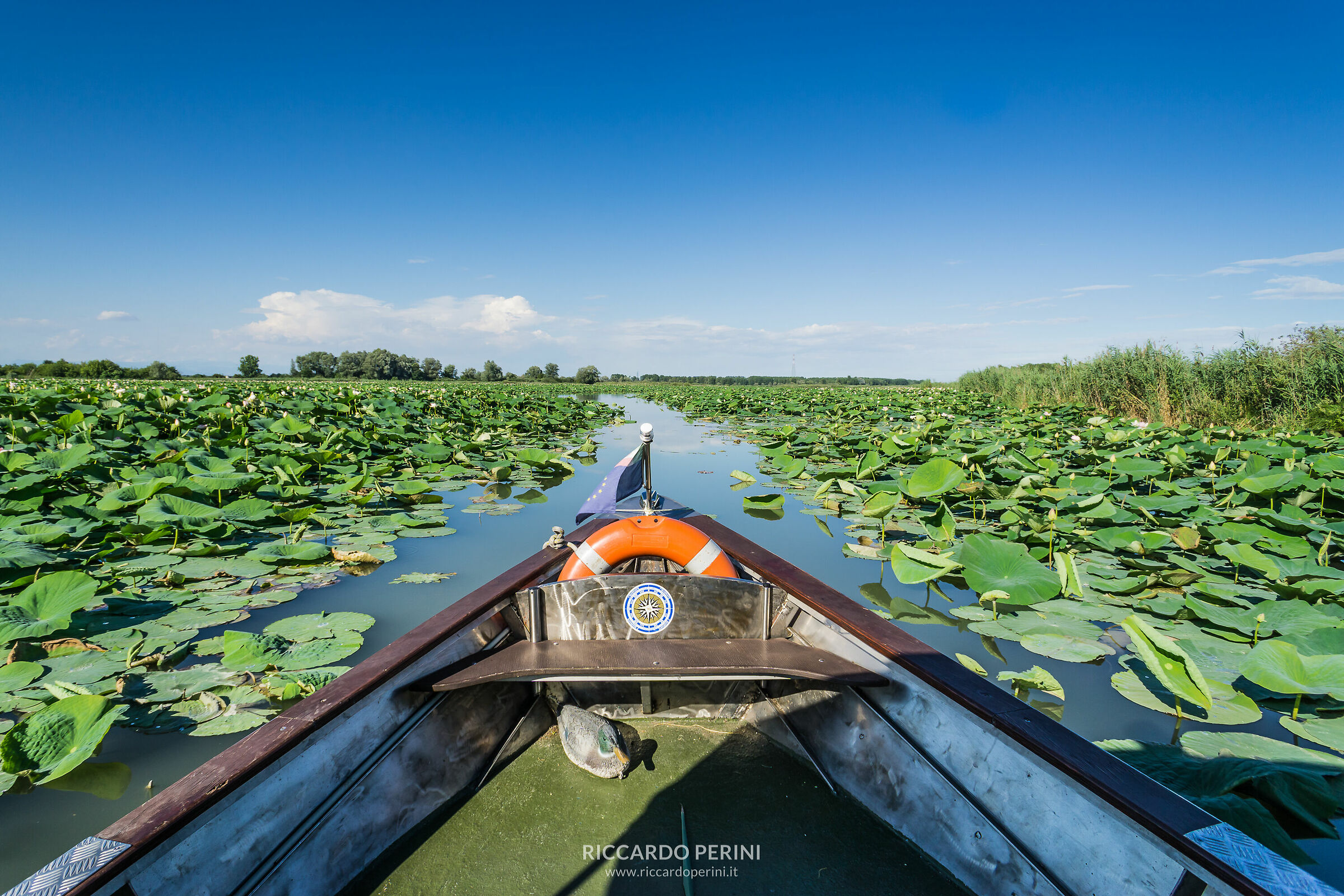 Boating on the Mincio