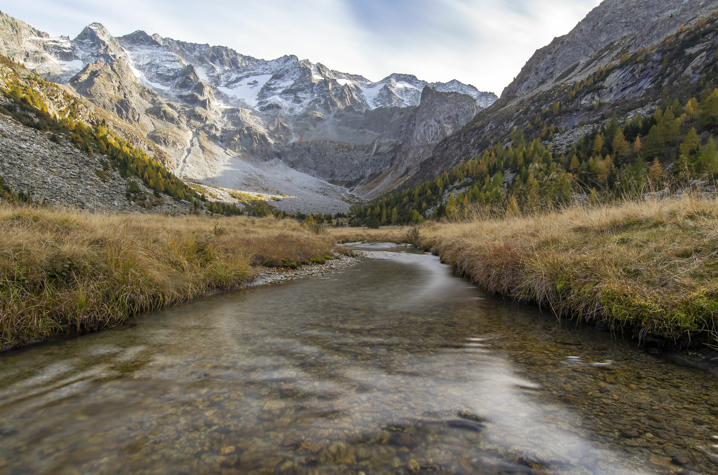 The creek in the valley