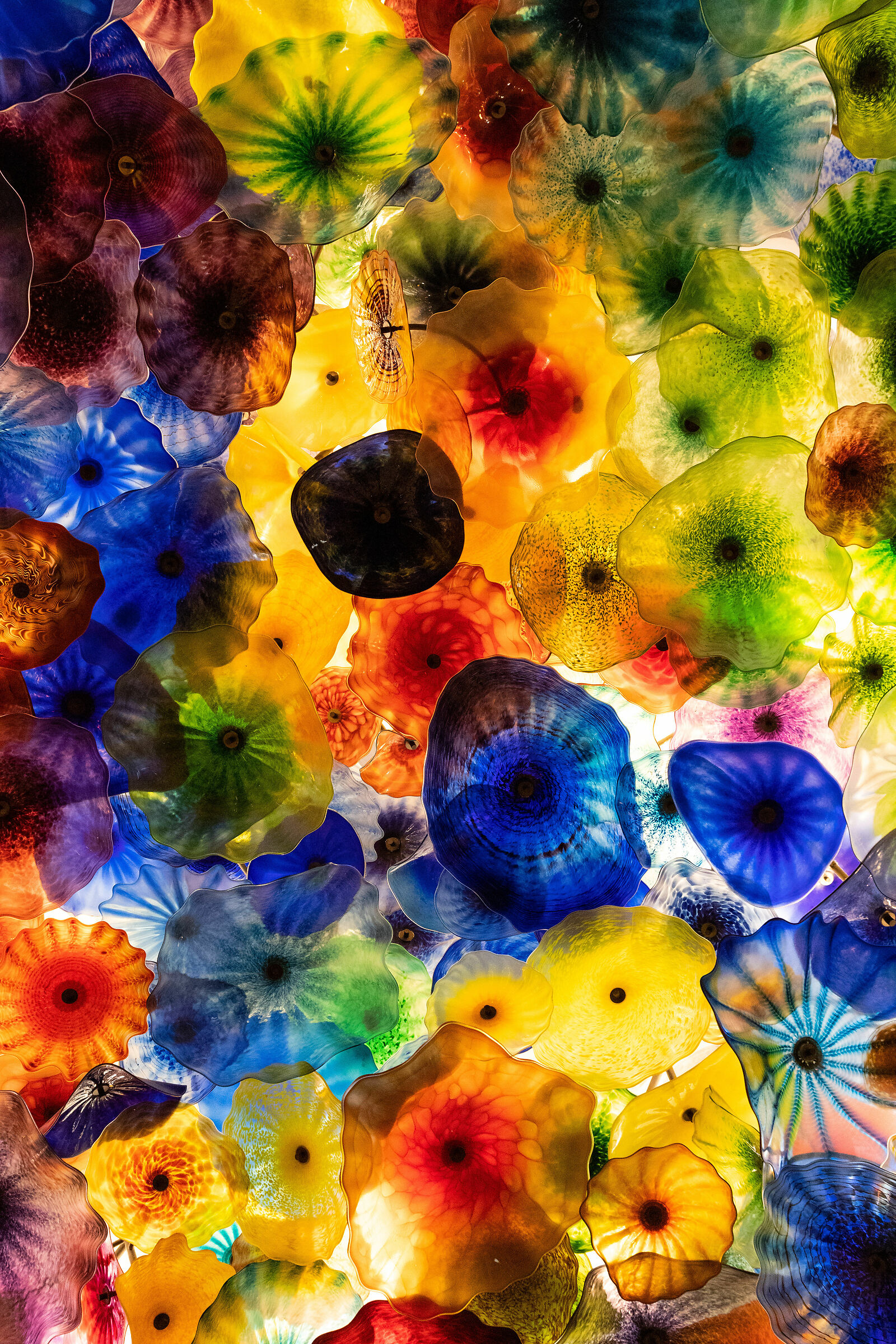 The Flowers of the Bellagio