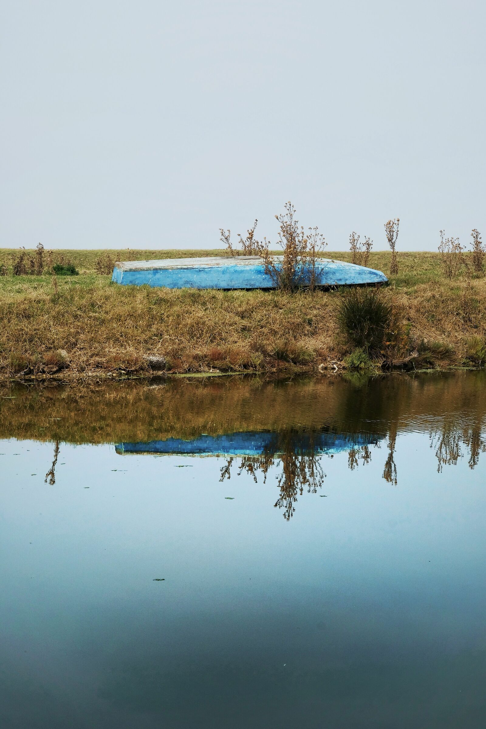 Fatemi tornare in acqua!!!