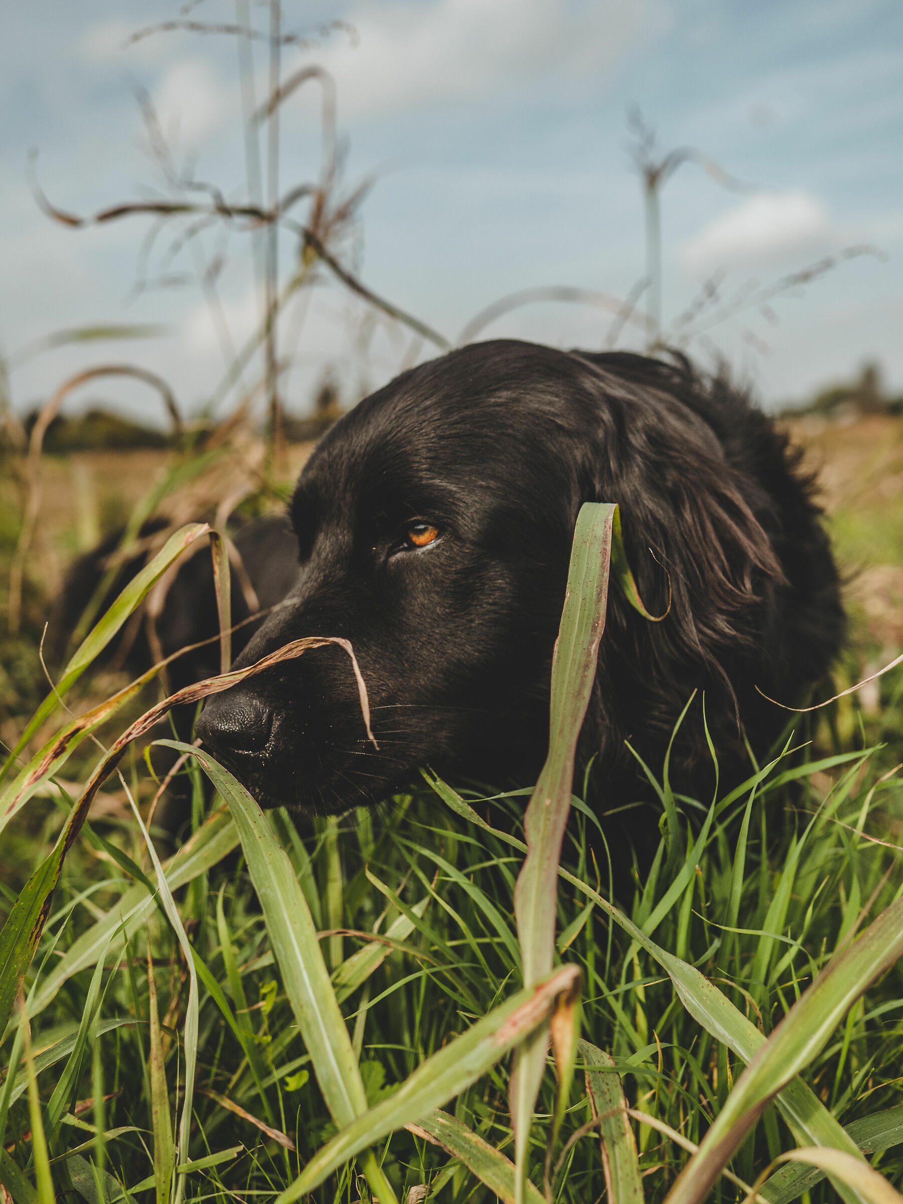 Esplorando la campagna 2